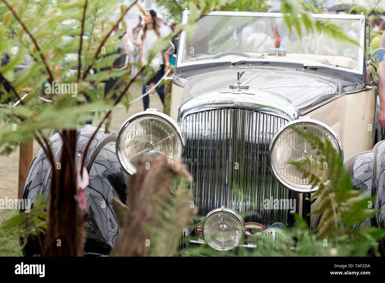Classic 30's Bentley Auto Chelsea Flower Show 2019 Londra Foto Stock