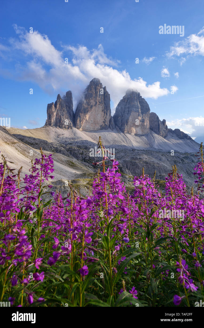 L'Italia, Dolomiti di Sesto, le Tre Cime di Lavaredo, parco naturale Tre Cime, patrimonio mondiale Unesco sito naturale Foto Stock