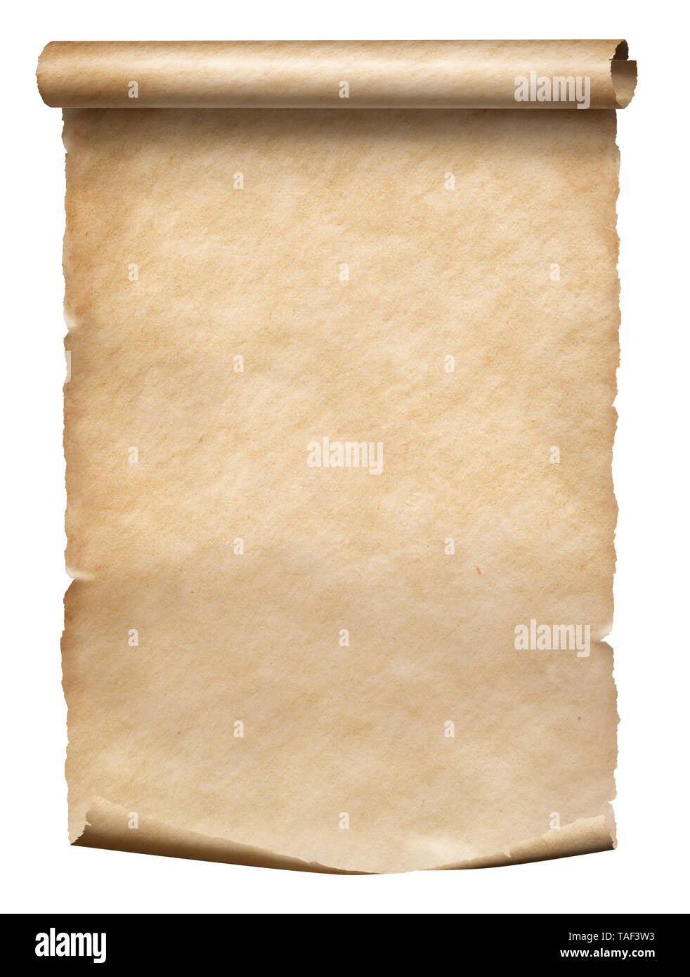 Vecchia pergamena isolato di scorrimento su bianco Foto Stock