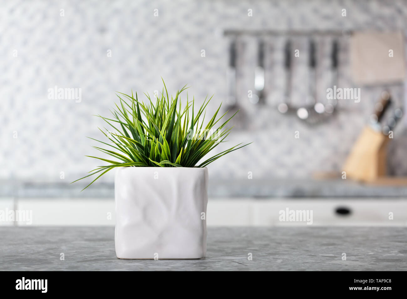Pentola di bianco con foglie verdi sul banco di cucina Foto Stock