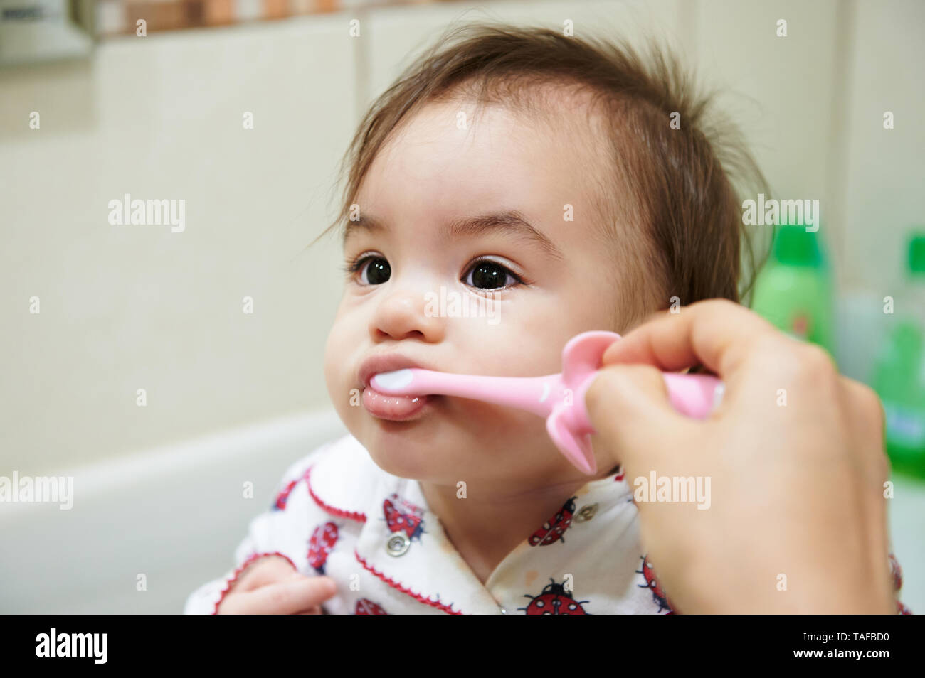 Spazzolare i denti della piccola bambina nella stanza da bagno Foto Stock