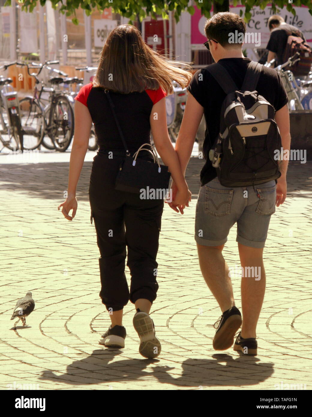 Glasgow, Scotland, Regno Unito XXIV Maggio, 2019. Regno Unito Meteo: giornata di sole ha visto la gente del posto fuori a godersi il tempo nelle strade della città come un paio di amore gli uccelli sono stati specchiata da un pigeonn. Gerard Ferry/Alamy Live News Foto Stock