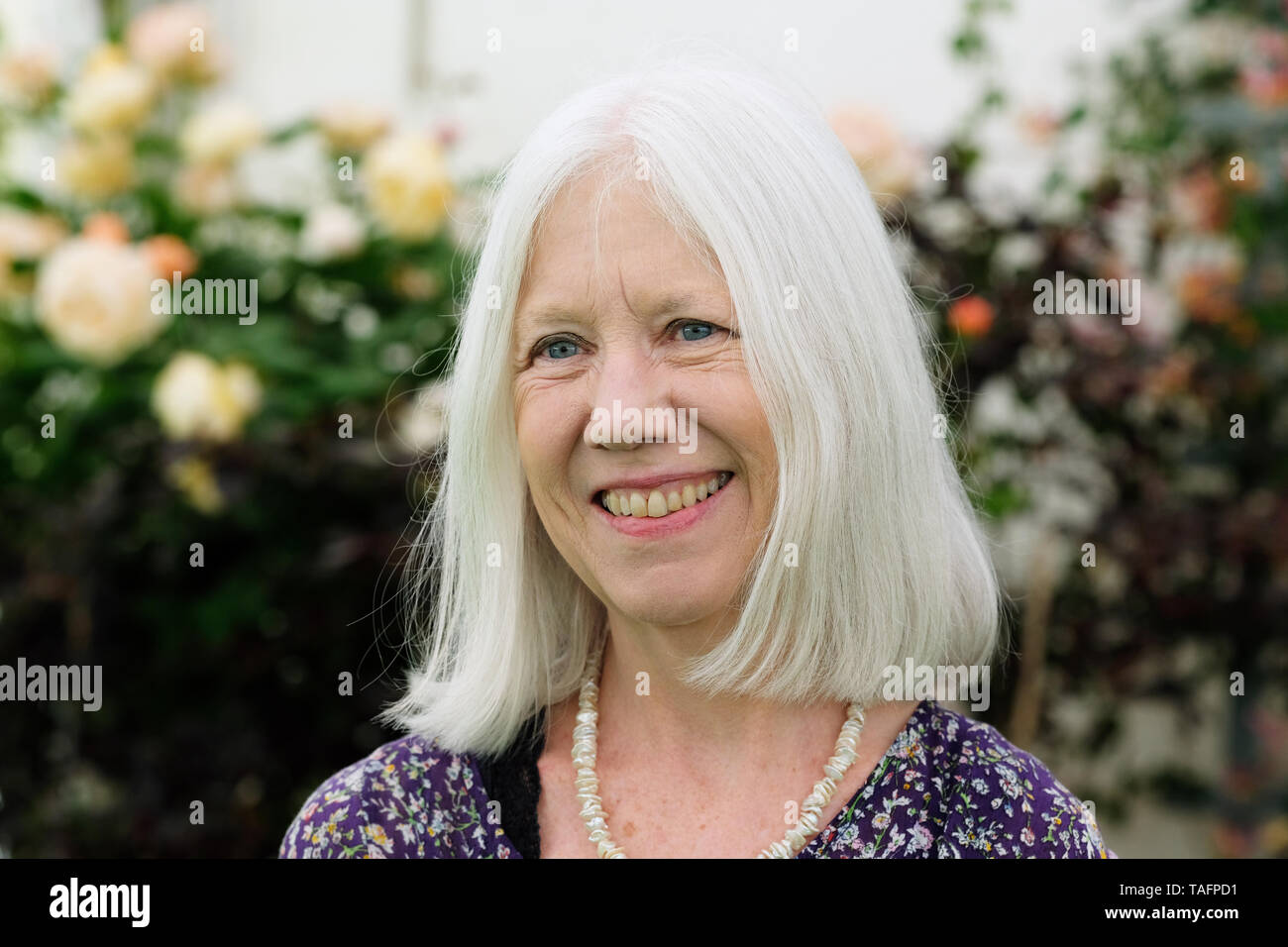 Hay Festival, Hay on Wye, Powys, Wales, UK - Sabato 25 Maggio 2019 - Marilyn Booth, vincitrice congiunta del Man Booker International Prize per la sua traduzione del romanzo corpi celesti dell'autore Omani Jokha Alharthi al Festival di Hay. Photo Steven May / Alamy Live News Foto Stock