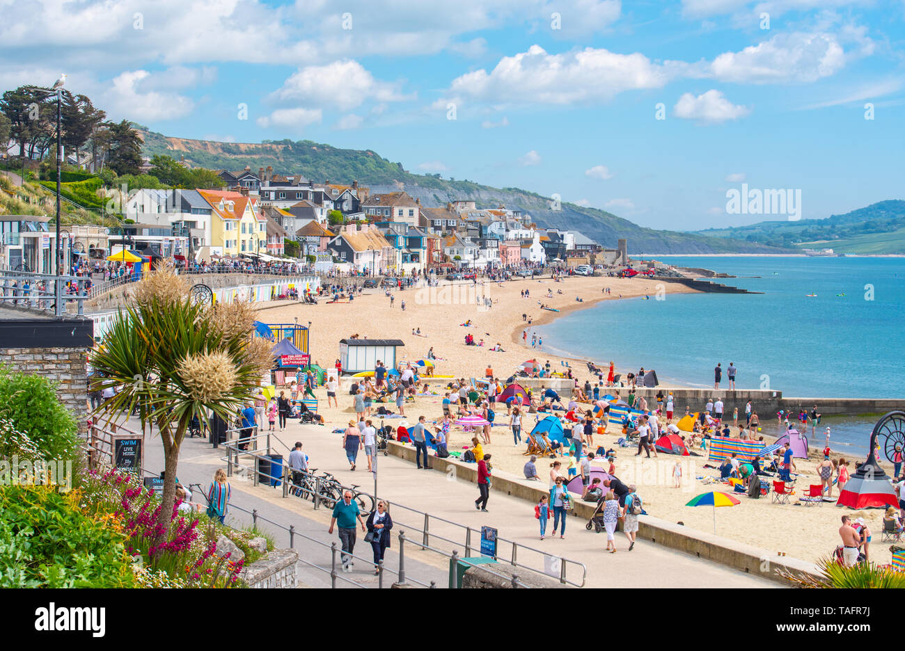 Lyme Regis, Dorset, Regno Unito. 25 maggio 2019. Meteo REGNO UNITO: folle di turisti e visitatori accorrono per la spiaggia di Lyme Regis a crogiolarvi al sole caldo come il resort costiero sfrigola su il giorno più caldo dell'anno finora. Il sabato è impostata in modo da essere il più soleggiato giorno di fine maggio weekend festivo. Credito: Celia McMahon/Alamy Live News. Credito: Celia McMahon/Alamy Live News Foto Stock