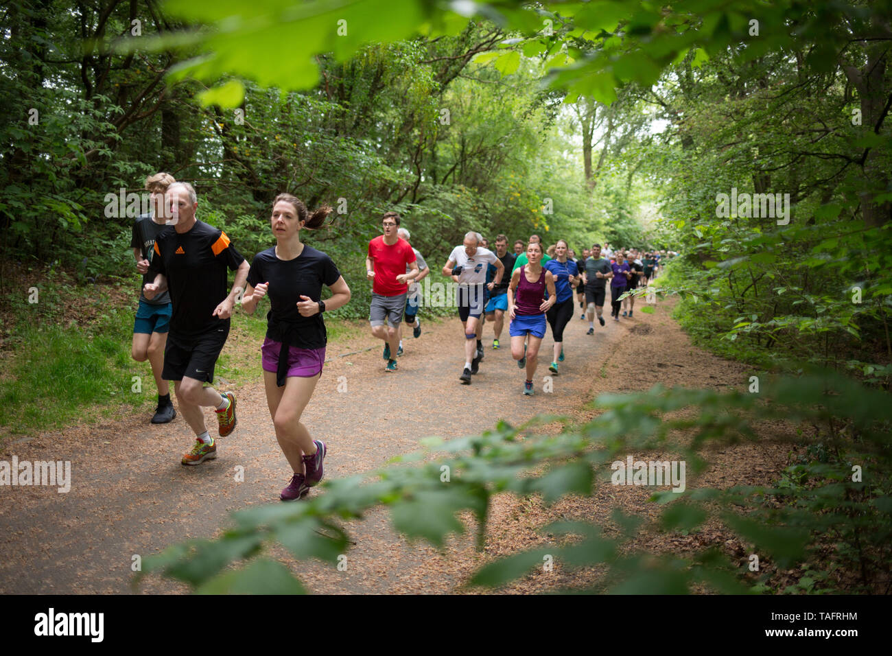 Glasgow, Regno Unito. 25 Maggio, 2019. Il 534th libera e temporizzato Parkrun evento avviene in Pollok Country Park, con locale running club Bellahouston Harriers facendo un volontario-acquisizione, con le loro guide del club che soddisfano tutte le posizioni di volontariato in corso di esecuzione, a Glasgow in Scozia, il 25 maggio 2019. Questo Parkrun era il 534th libero e Parkrun temporizzato 5km eseguire detenute nel parco di Glasgow Southside, ed è uno dei centinaia di tali all-inclusive eventi che si tengono in tutto il Regno Unito e a livello internazionale ogni fine settimana sotto il banner Parkrun. Credito: jeremy sutton-hibbert/Alamy Live News Foto Stock