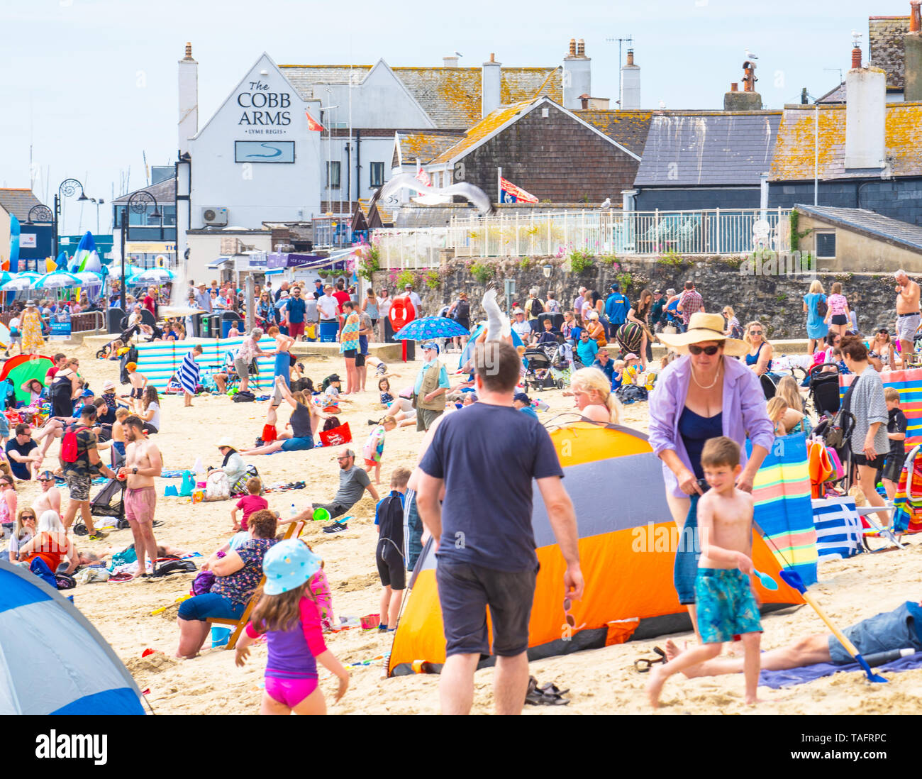 Lyme Regis, Dorset, Regno Unito. 25 maggio 2019. Meteo REGNO UNITO: folle di turisti e visitatori accorrono per la spiaggia di Lyme Regis a crogiolarvi al sole caldo come il resort costiero sfrigola su il giorno più caldo dell'anno finora. Il sabato è impostata in modo da essere il più soleggiato giorno di fine maggio weekend festivo. Credito: Celia McMahon/Alamy Live News. Credito: Celia McMahon/Alamy Live News Foto Stock