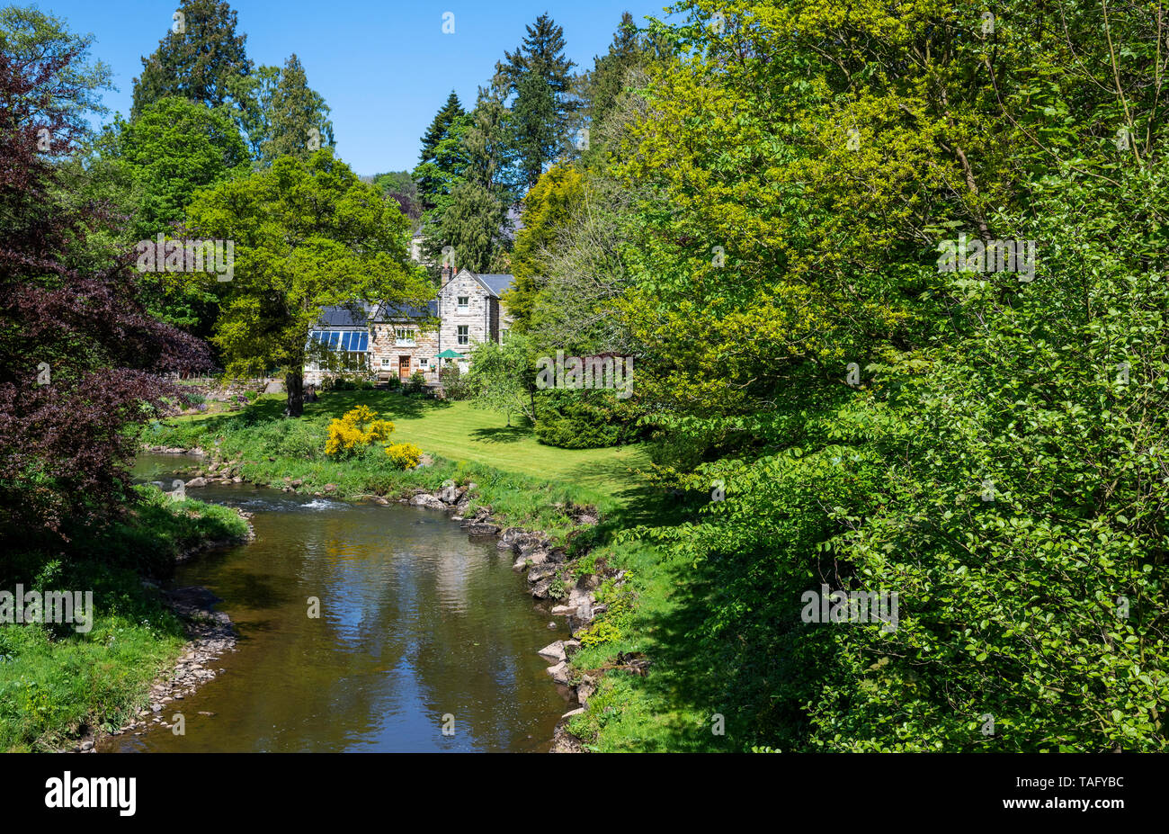 Il fiume Esk dal Egton Bridge, North York Moors, nello Yorkshire, Regno Unito Foto Stock