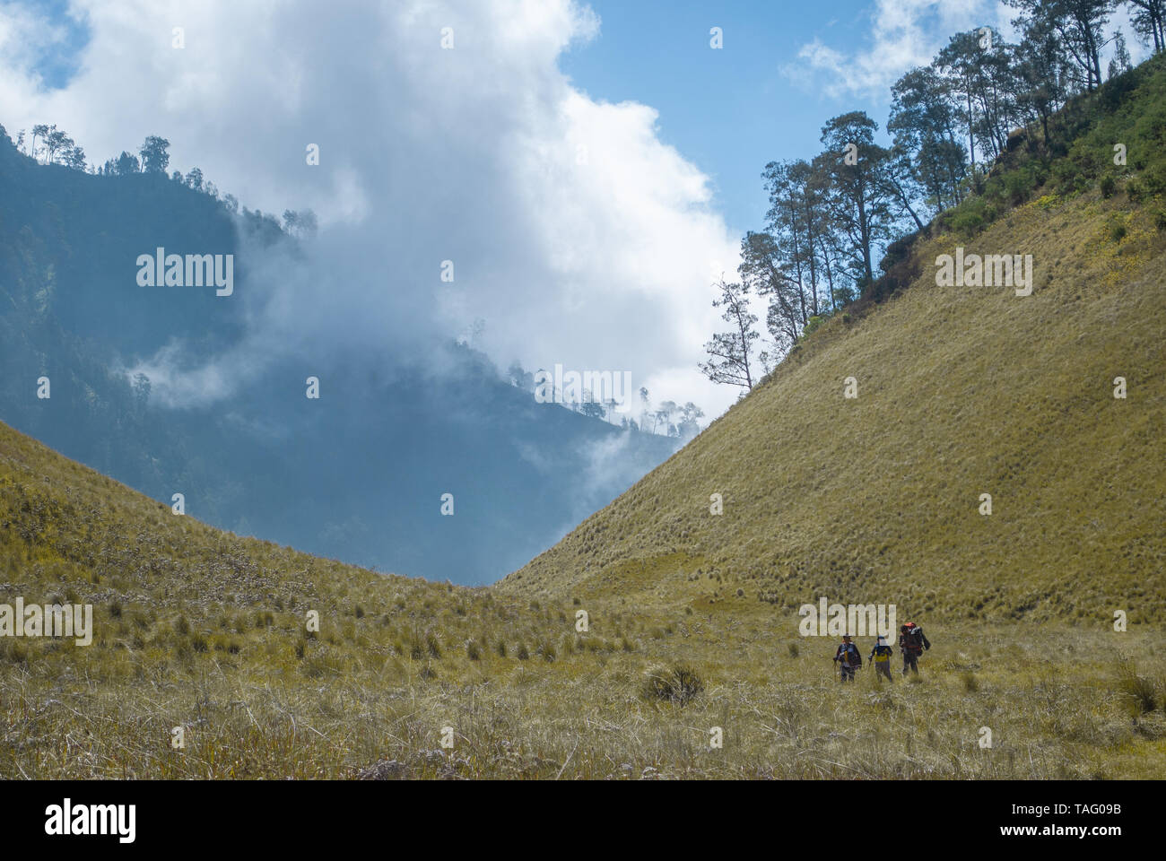 Uno dei la vista sull'altro lato quando si tratta semplicemente di passare o lasciare di Ranu Kumbolo, l'esotica. lago di Semeru, vulcano più alto monte di Java, Indonesia. Foto Stock