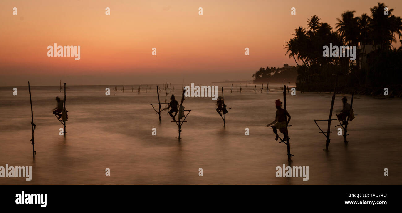 Stilt pescatori dello Sri Lanka che lavora per la cena al tramonto Foto Stock