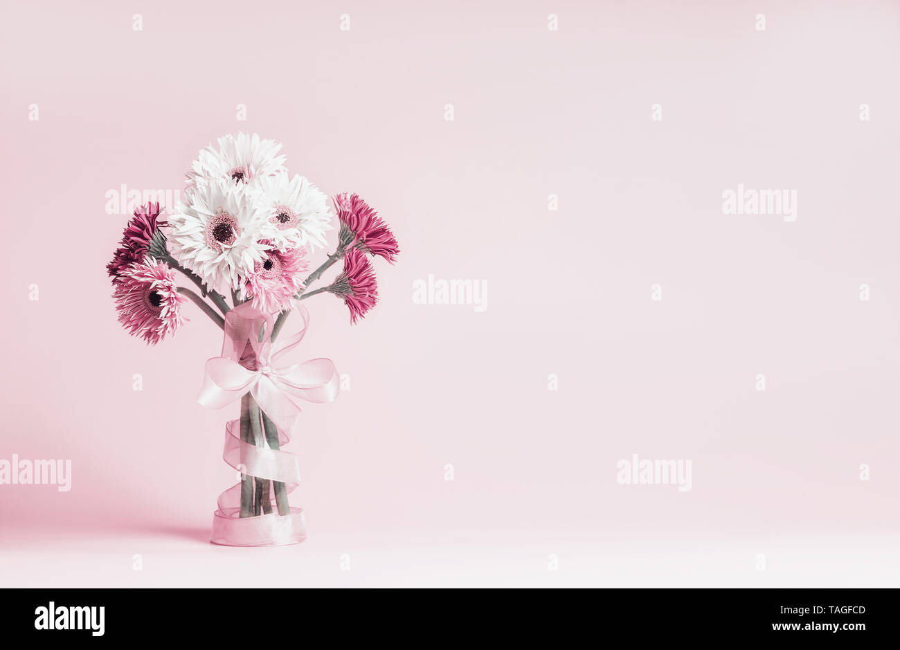 Bellissima gerbera mazzo di fiori con nastro in piedi sul rosa pastello sfondo. Spazio di copia Foto Stock