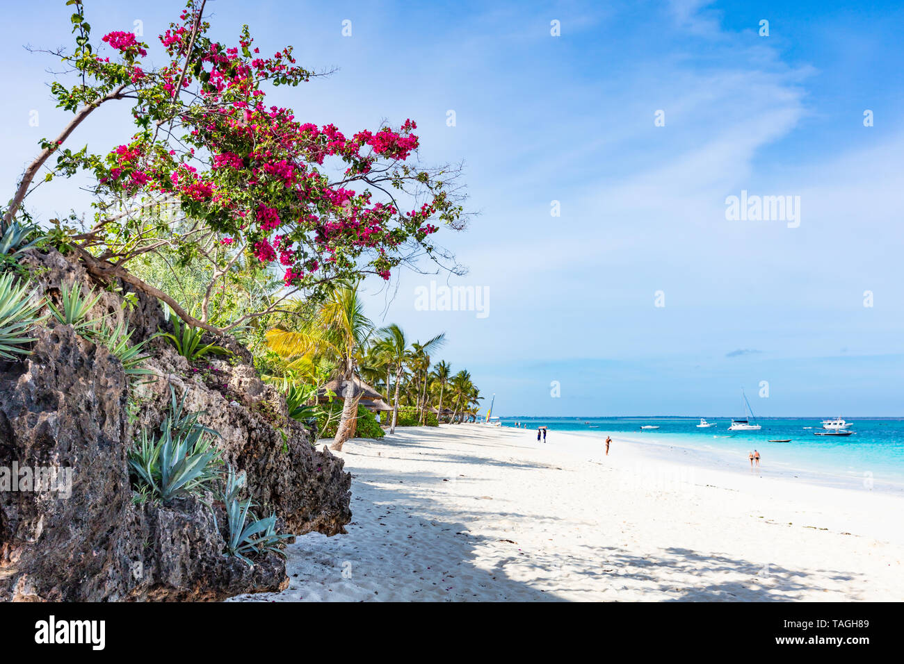 La spiaggia di Kendwa in Unguja aka isola di Zanzibar Tanzania Africa orientale Foto Stock