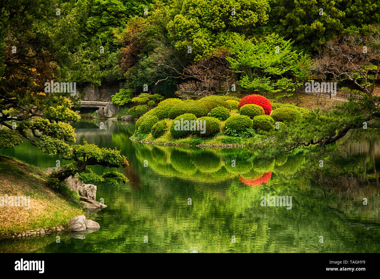 ASIA, Giappone, Shikoku Isola, Prefettura di Kagawa , Takamatsu (高松市 Takamatsu-shi), Ritsurin Giardino (periodo Edo) Foto Stock