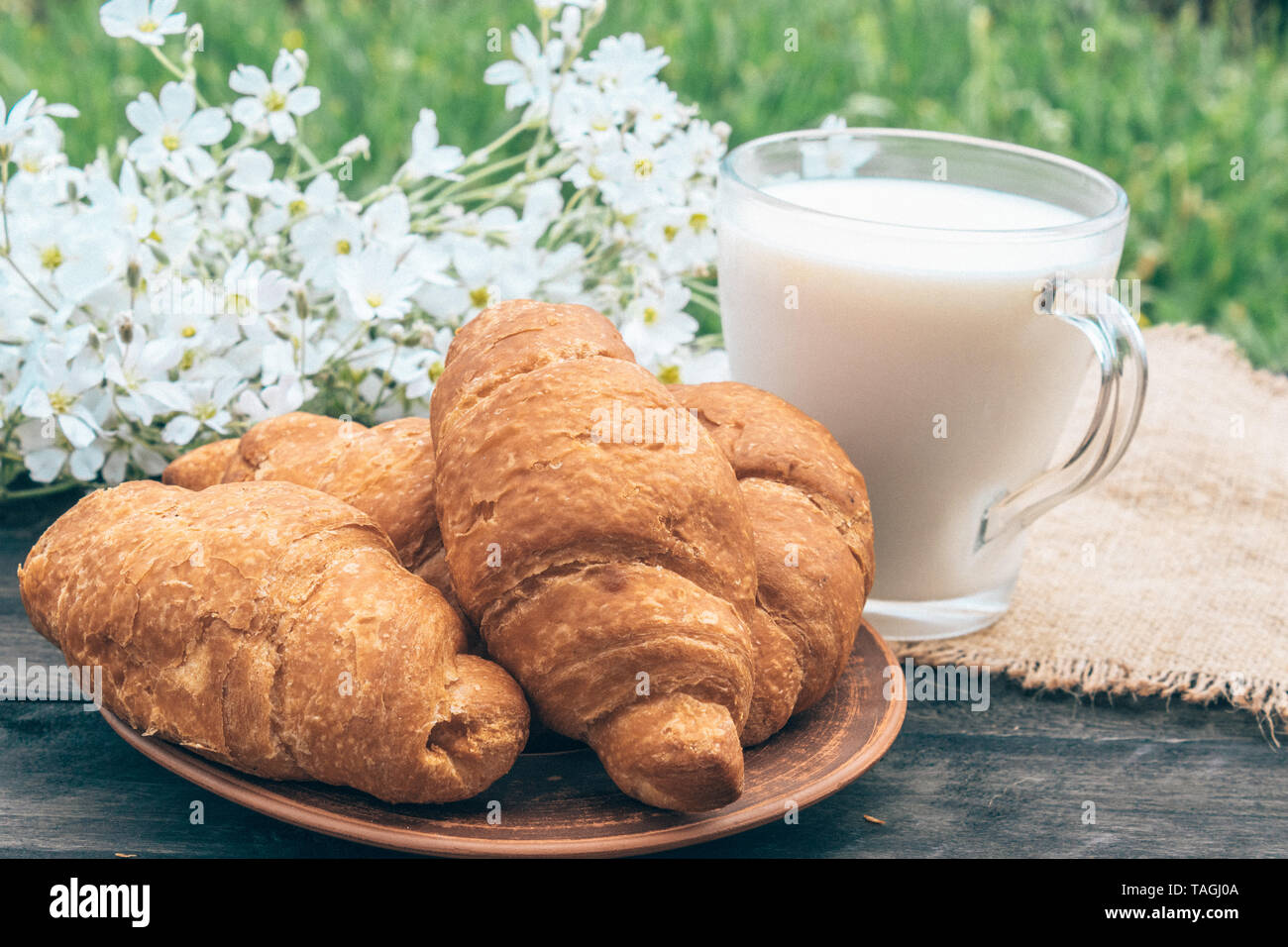 Un bicchiere di vetro di latte al fianco di croissant e bianco fiori di piccole dimensioni. Foto Stock