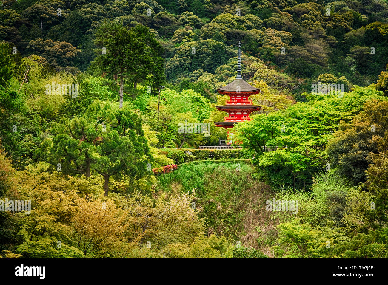 ASIA, Giappone, isola di Honshu, prefettura di Kyoto (京都府, Kyōto-fu), la città di Kyoto, Mt. Otowa, Kiyomizu-dera tempio buddista (778) Foto Stock