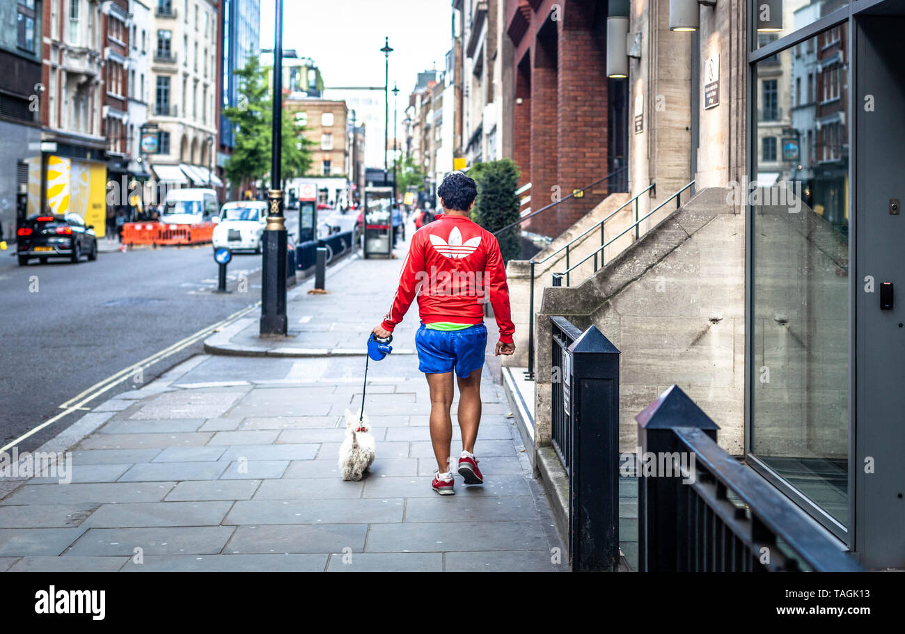 Vista posteriore di un uomo che indossa abbigliamento sportivo e a piedi un cane da compagnia, Soho, Londra, Inghilterra, Regno Unito. Foto Stock