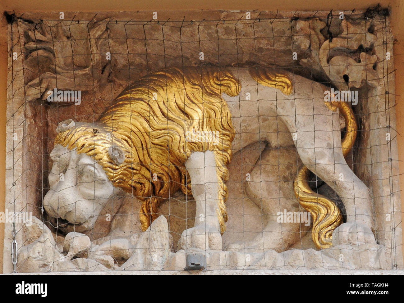 Scultura di un leone con una criniera dorata in una nicchia nella parete di una facciata.Cracovia. Foto Stock