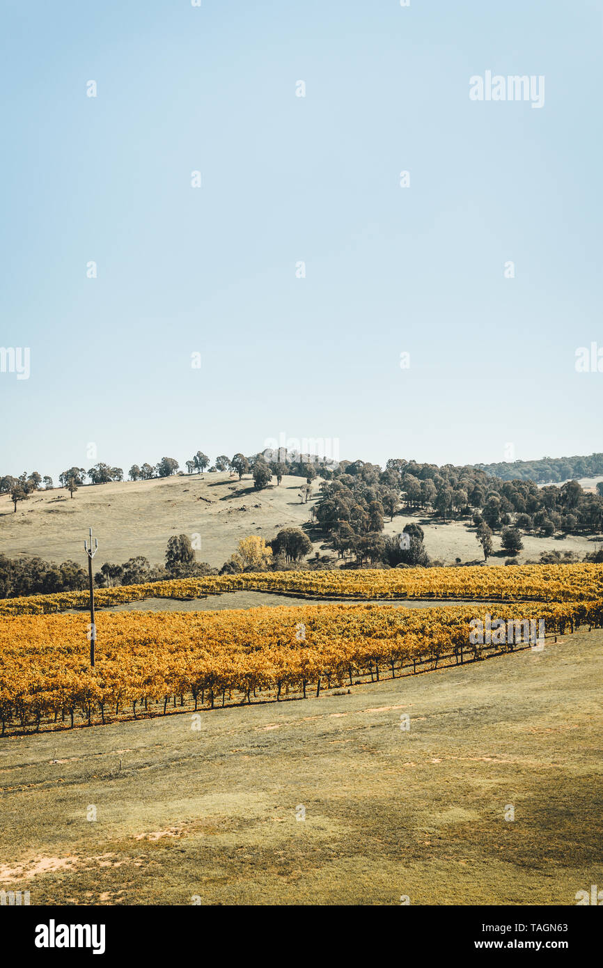 Panoramica della campagna australiana a Courabyra Vini, Tumbarumba NSW Foto Stock