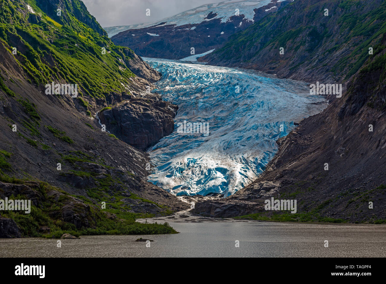 Il ghiacciaio di orso nelle prime ore del mattino nei pressi di Hyder in Alaska, il parco nazionale di Kenai Fjords, Stati Uniti d'America, Stati Uniti d'America. Foto Stock