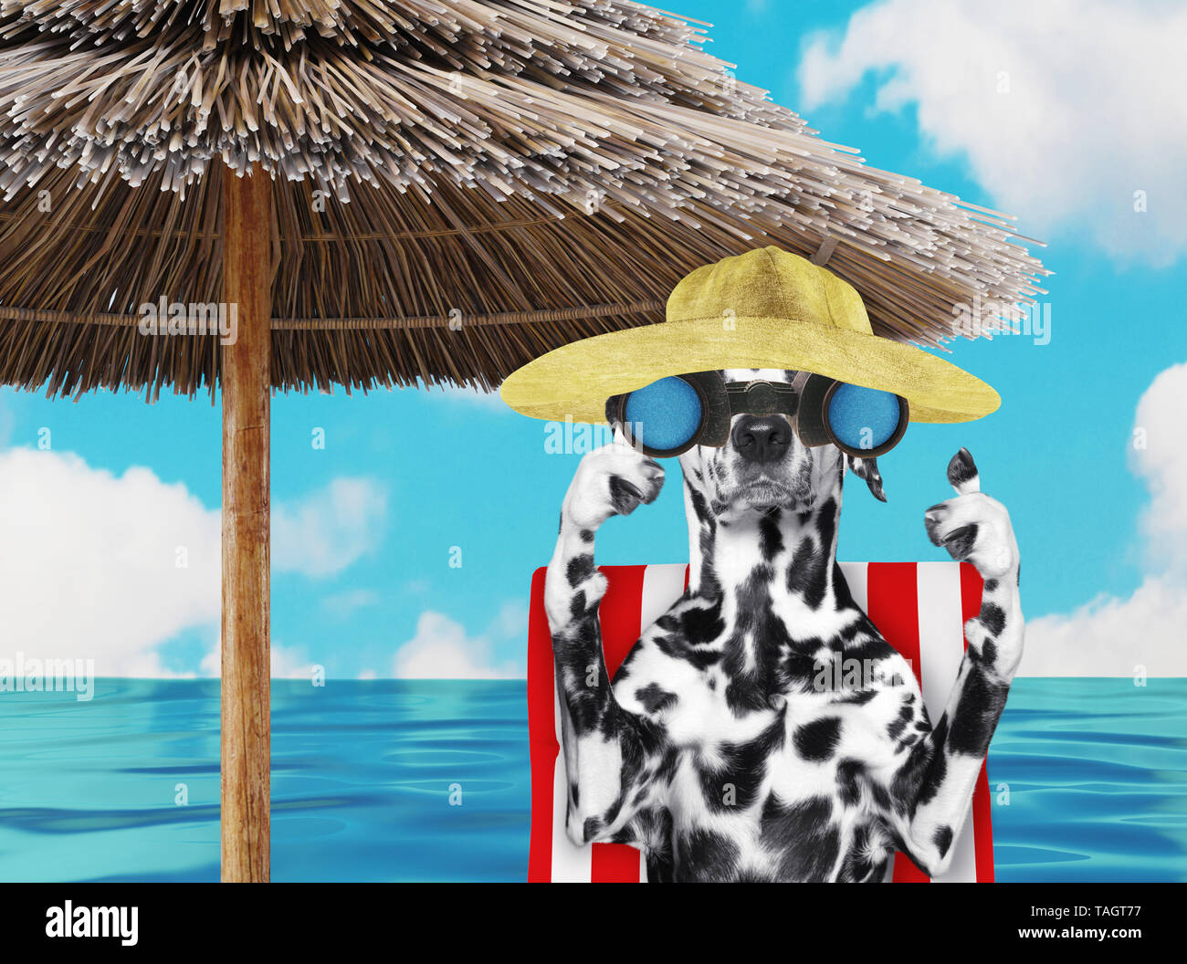 Cane dalmata a prendere il sole su una sdraio sulla spiaggia e guardare attraverso i binocoli. 3D render Foto Stock