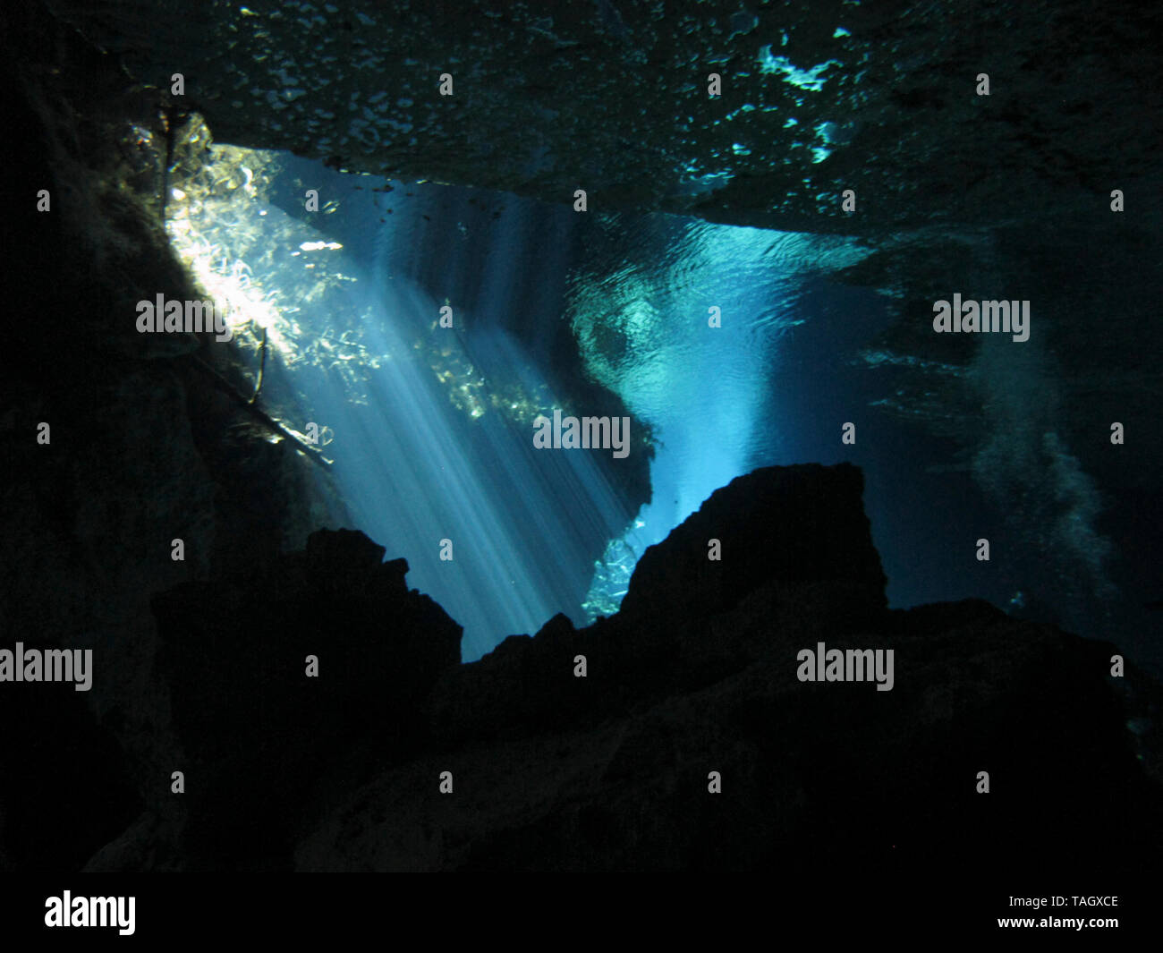 La riflessione di luce - Underwater al cenote Chacón Mool in Riviera Maya, Messico. Foto Stock