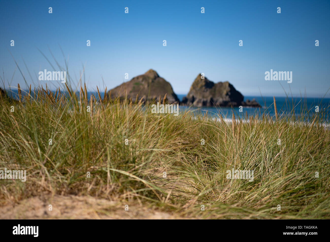 Guardando attraverso le dune di roccia Poldark, Holy Well Bay, North Cornwall Coast, Inghilterra Foto Stock