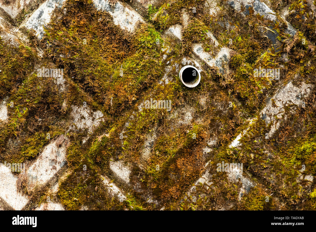 Abstract closeup di muro di pietra con beccuccio di scarico acqua in Okuhida villaggi vicino a Takayama, Giappone montagna nella Prefettura di Gifu park Foto Stock