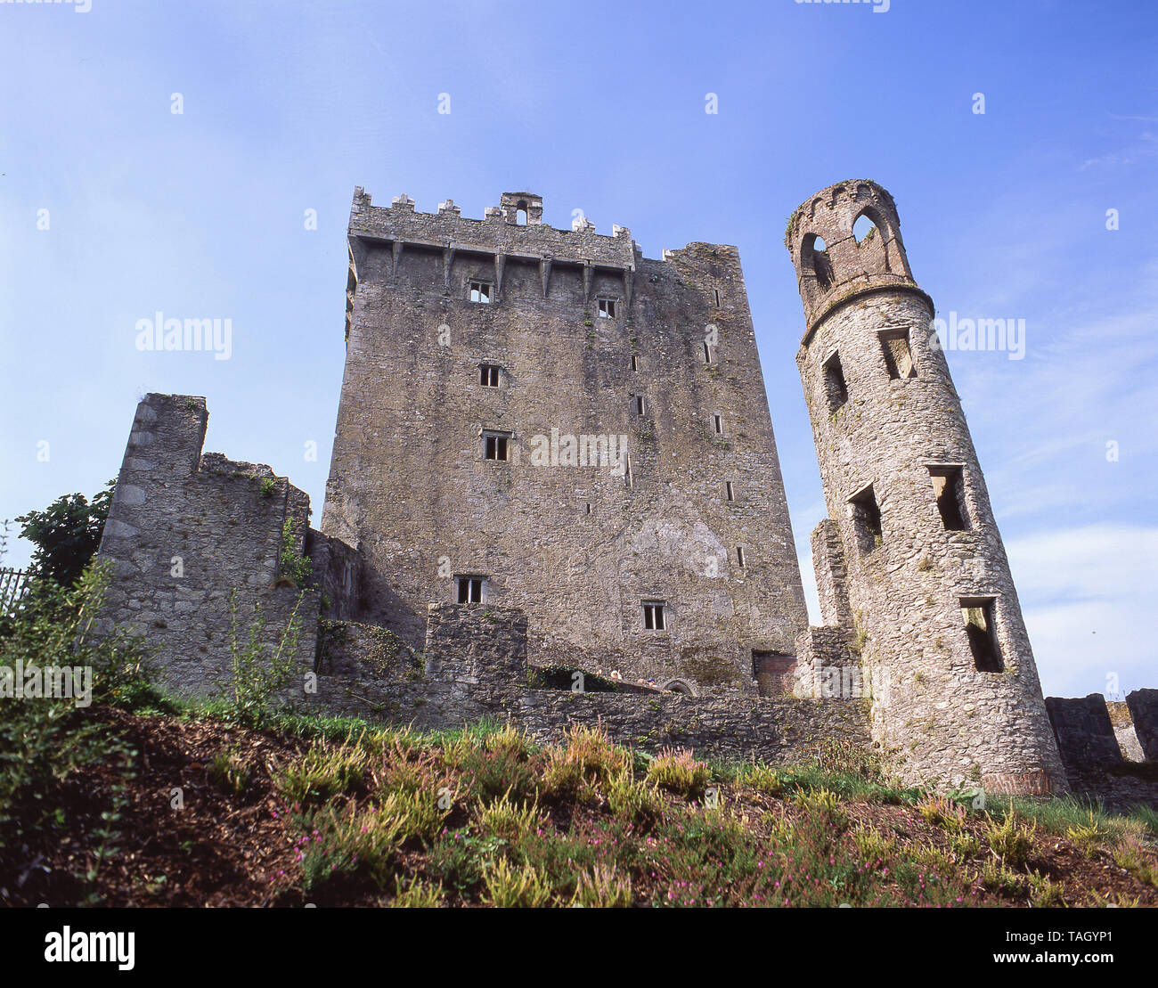 Mantenere il castello e la torre, Blarney Castle, Blarney, County Cork, Repubblica di Irlanda Foto Stock