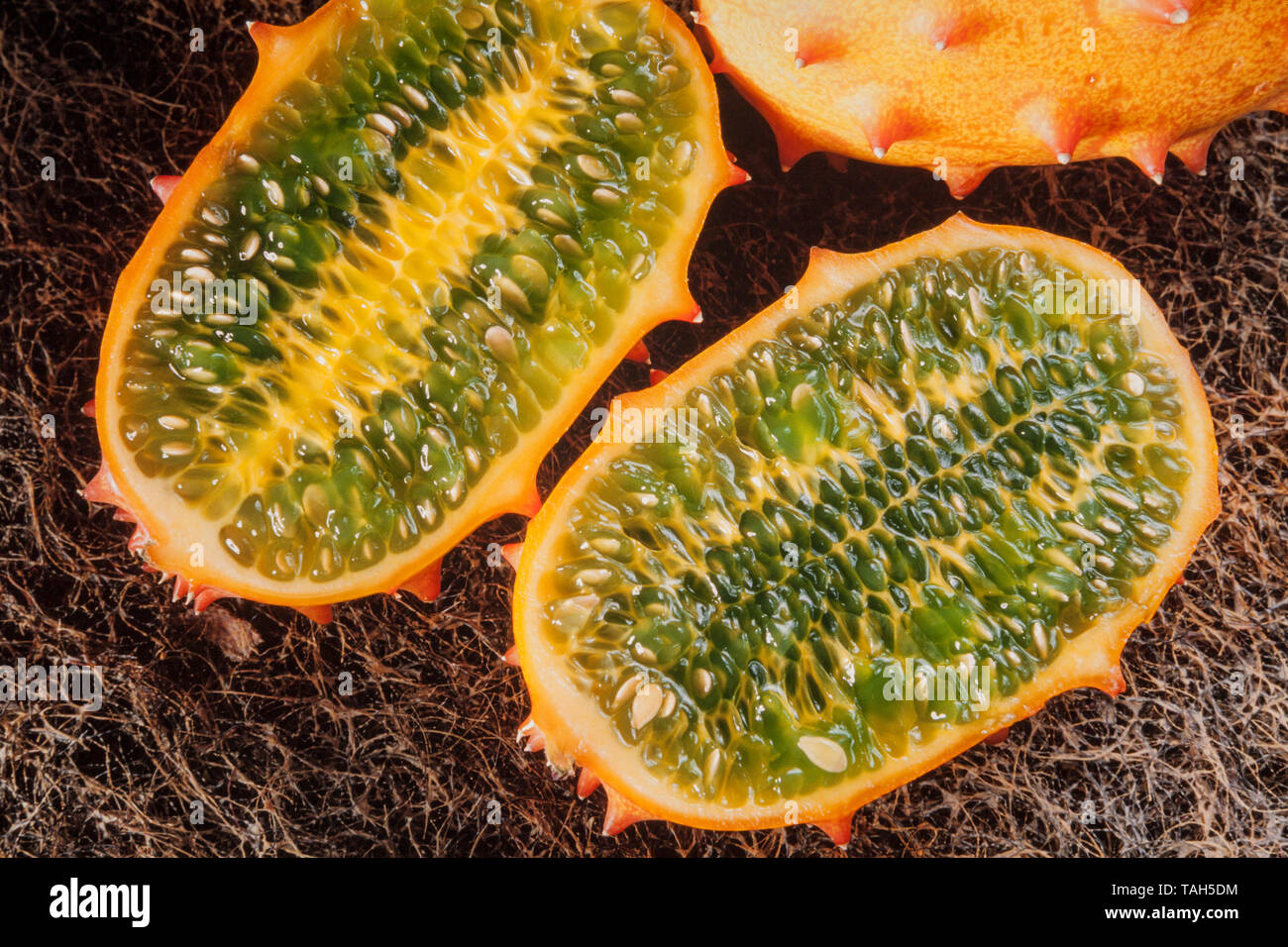 African cornuto melone, 'Kiwano' Cucumis melo, pelle esterna e interna flash di colore verdastro. Foto Stock