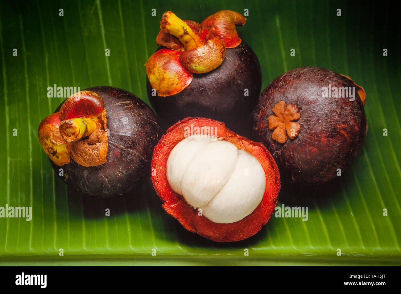 Mangosteen frutta, (Manggis) Garcinia mangostana, Malaysia, dentro la carne e la pelle esterna Foto Stock