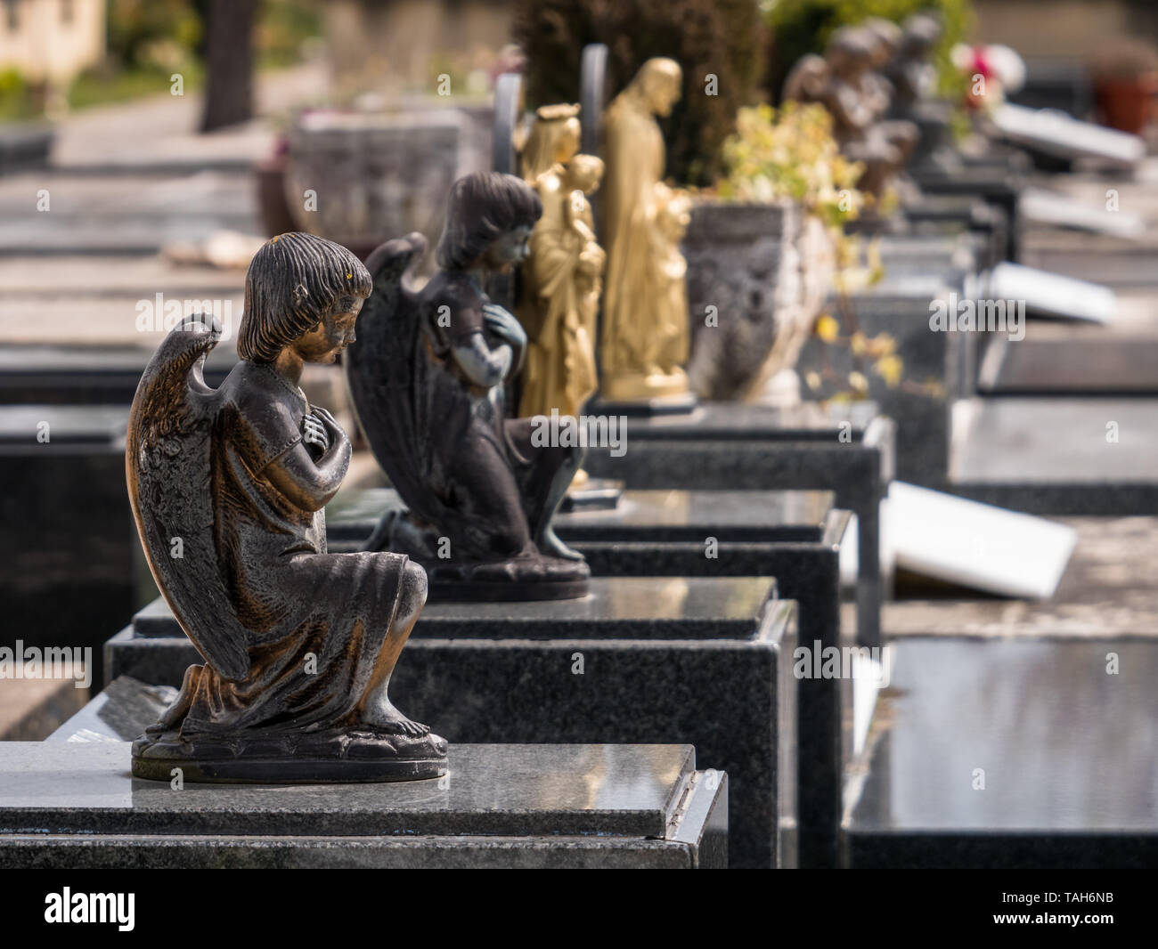 Fila di tombe e Angelo figure in El Salvador il cimitero di Vitoria-Gasteiz, Paesi Baschi Foto Stock