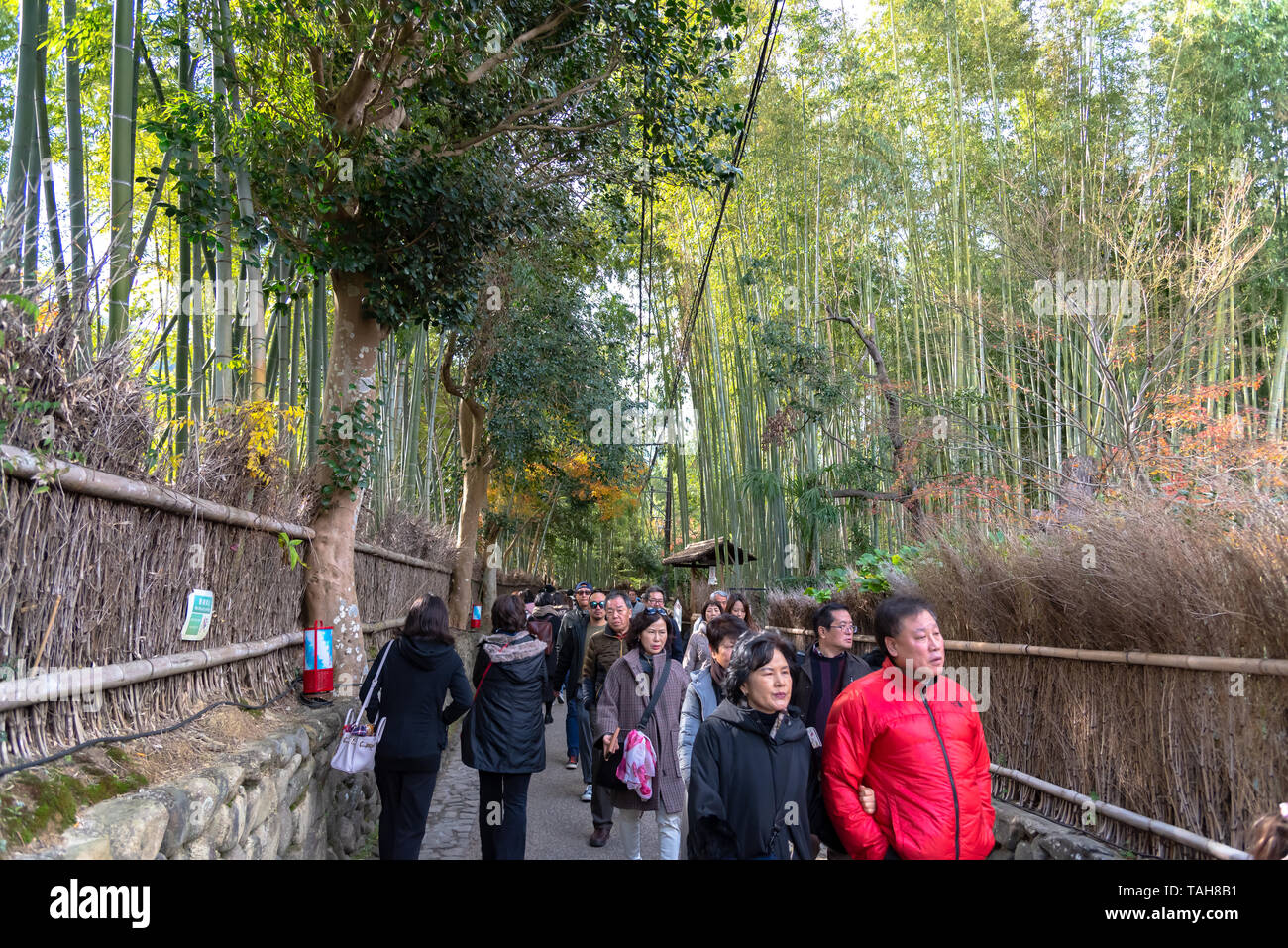 I turisti a piedi attraverso Arashiyama Boschetto di bambù giardino Zen, una foresta naturale di bambù in Arashiyama, Kyoto, Giappone Foto Stock