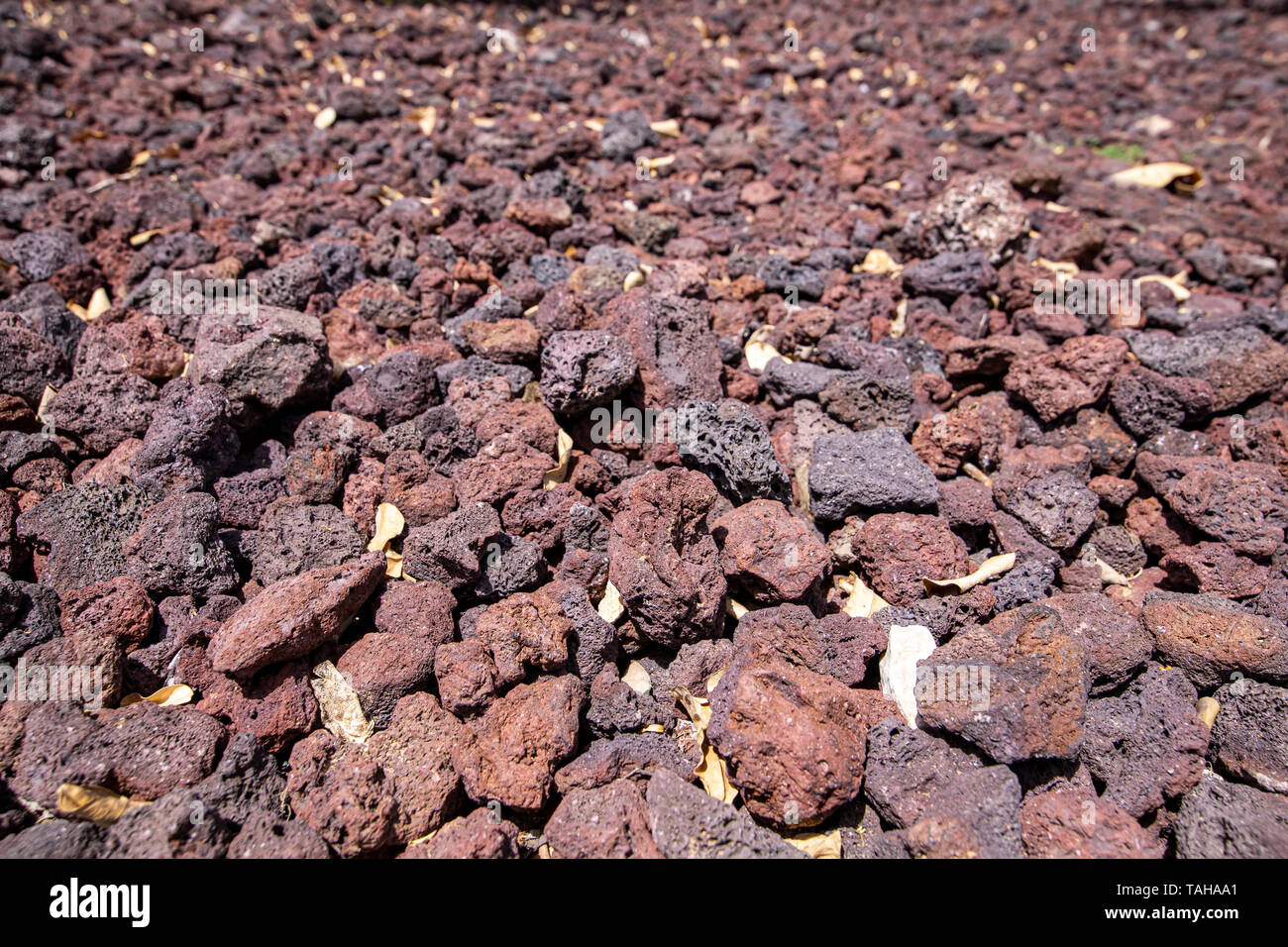Sfondo di rosso e nero pietre vulcaniche con foglie secche tra di loro da vicino Foto Stock