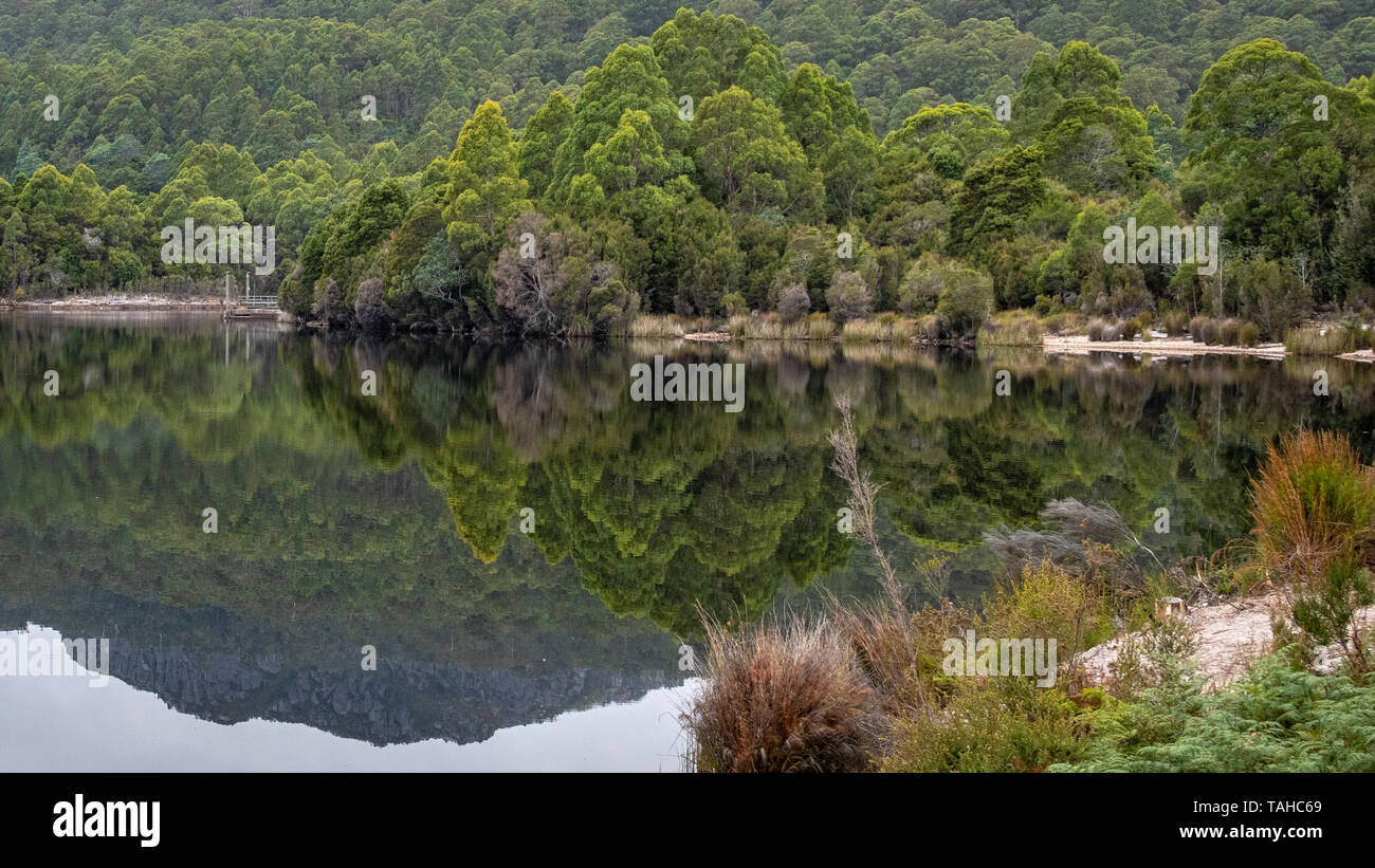 Riflessioni ad albero nel lago Roseberry, Tasmania Foto Stock