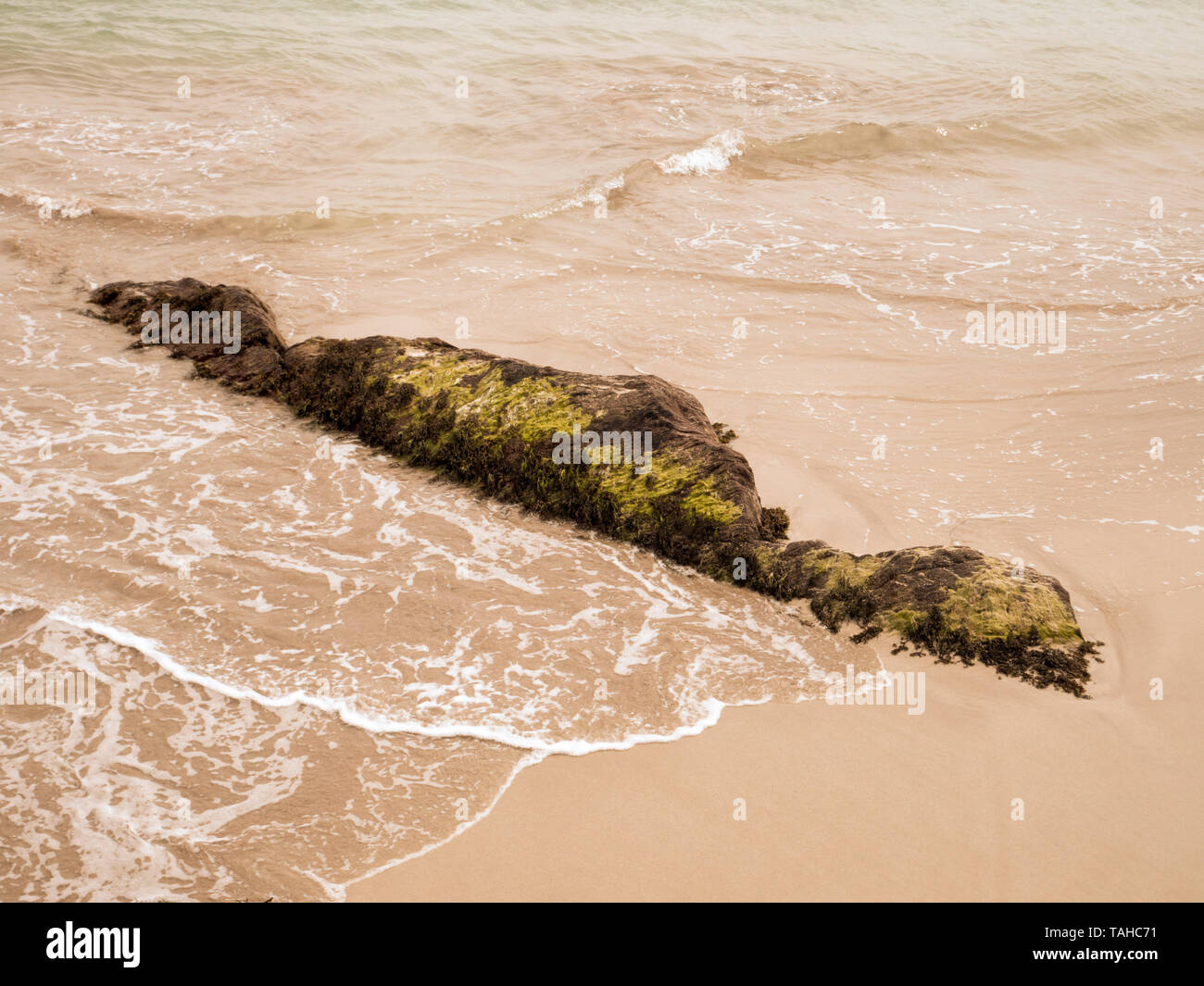 Coperte di muschio rock sulla spiaggia vicino Castlecove sul fiume Kenmare, Eire Foto Stock