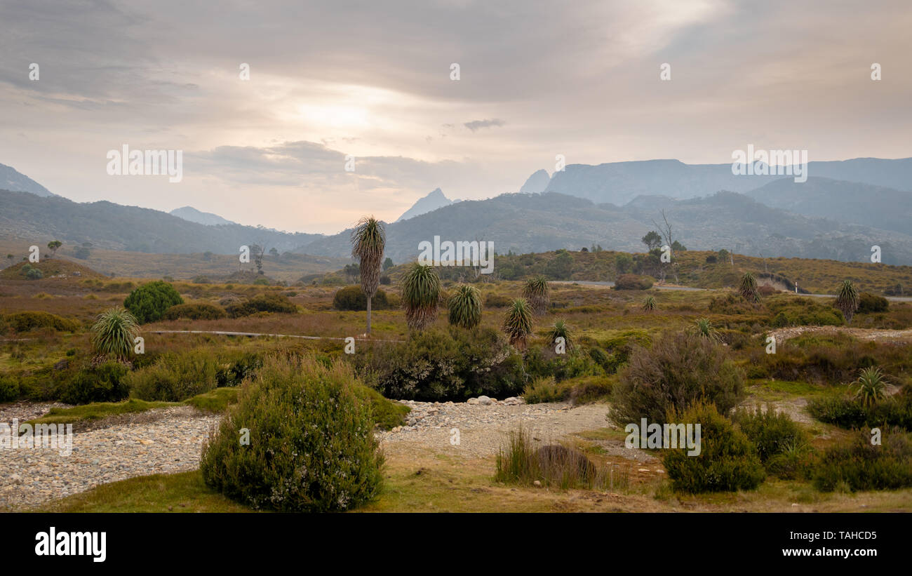 Cradle Mountain National Park, la Tasmania Foto Stock