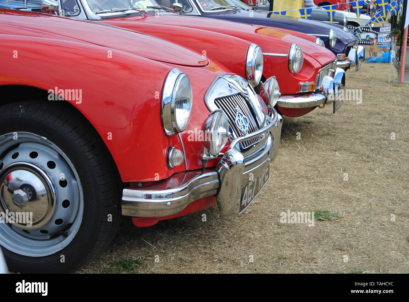Una linea di classico MG automobili parcheggiate sul display alla Riviera Classic Car Show, Paignton, Devon, Inghilterra. Regno Unito. Foto Stock
