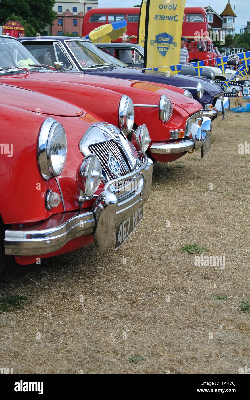 Una linea di classico MG automobili parcheggiate sul display alla Riviera Classic Car Show, Paignton, Devon, Inghilterra. Regno Unito. Foto Stock
