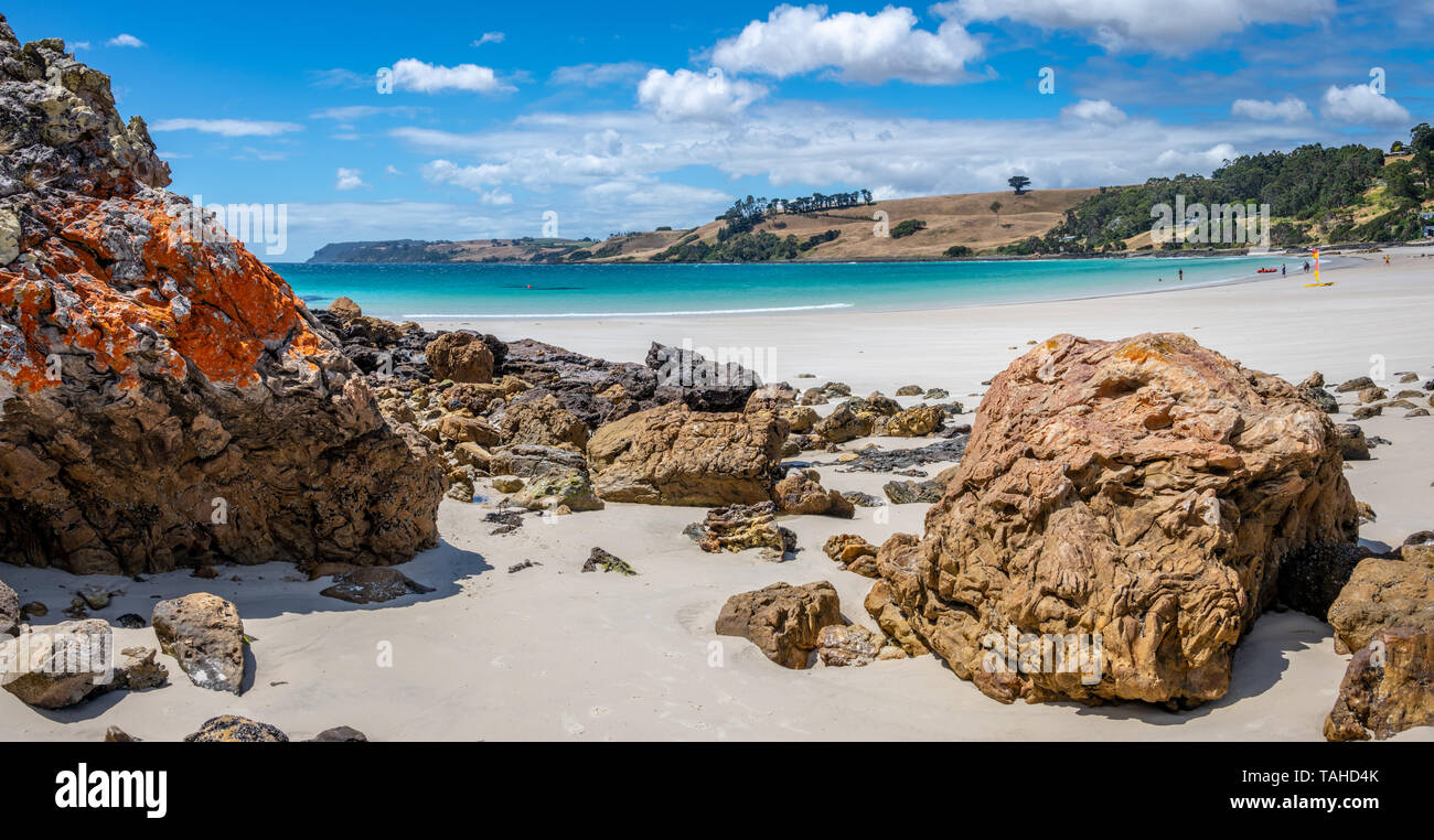 Boat Harbour Beach, Tasmania Foto Stock