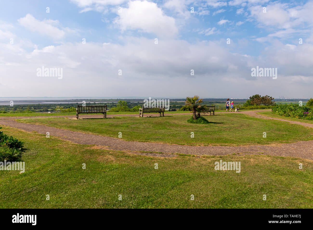 Marine Parade Gardens e Belton colline riserva naturale, Leigh on Sea, Essex, Regno Unito sopra l'estuario del Tamigi. In cima alla scogliera città di Southend Borough con viste Foto Stock