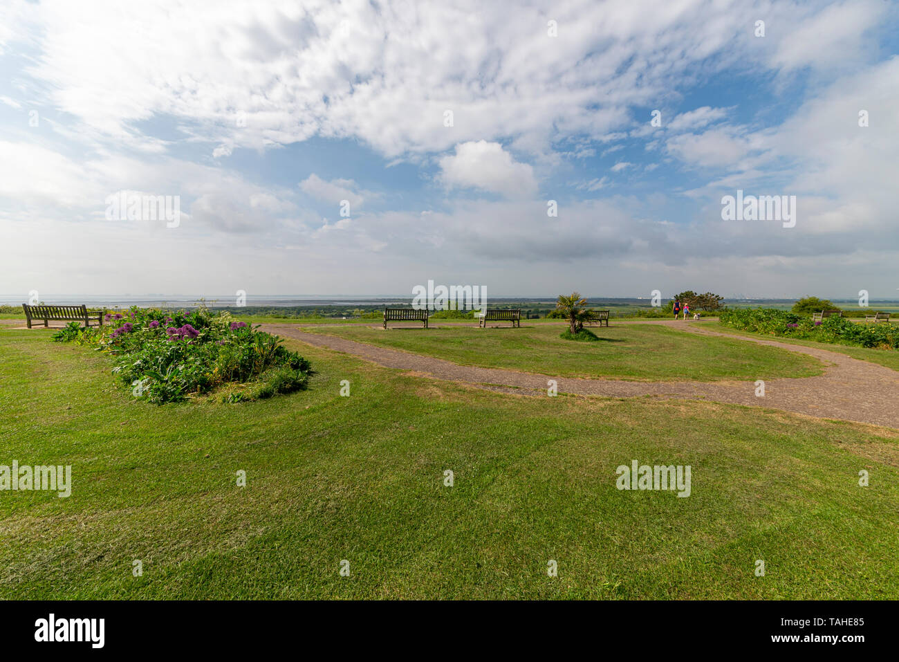 Marine Parade Gardens e Belton colline riserva naturale, Leigh on Sea, Essex, Regno Unito sopra l'estuario del Tamigi. In cima alla scogliera città di Southend Borough con viste Foto Stock