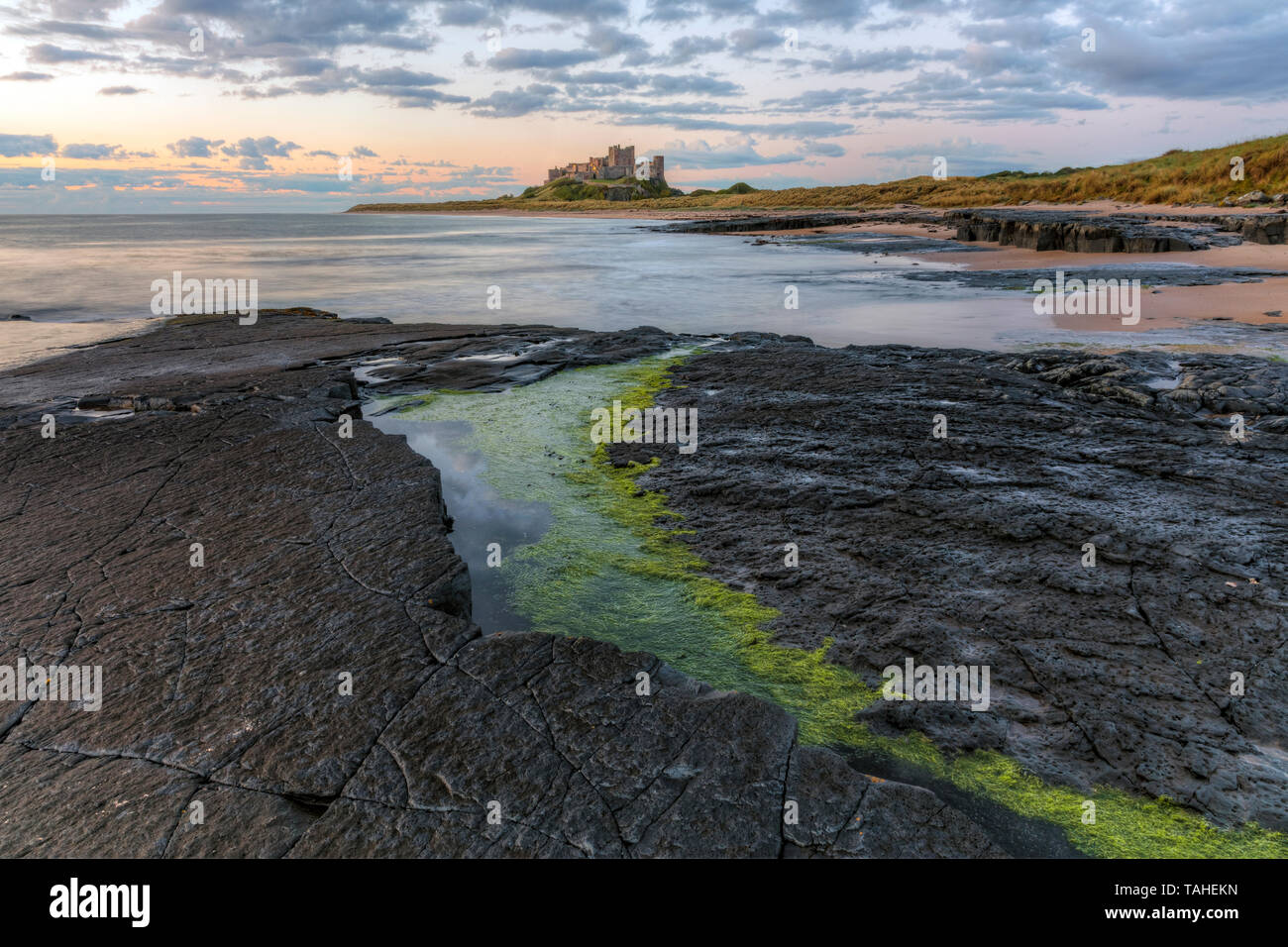 Il castello di Bamburgh, Northumberland, England, Regno Unito, Europa Foto Stock