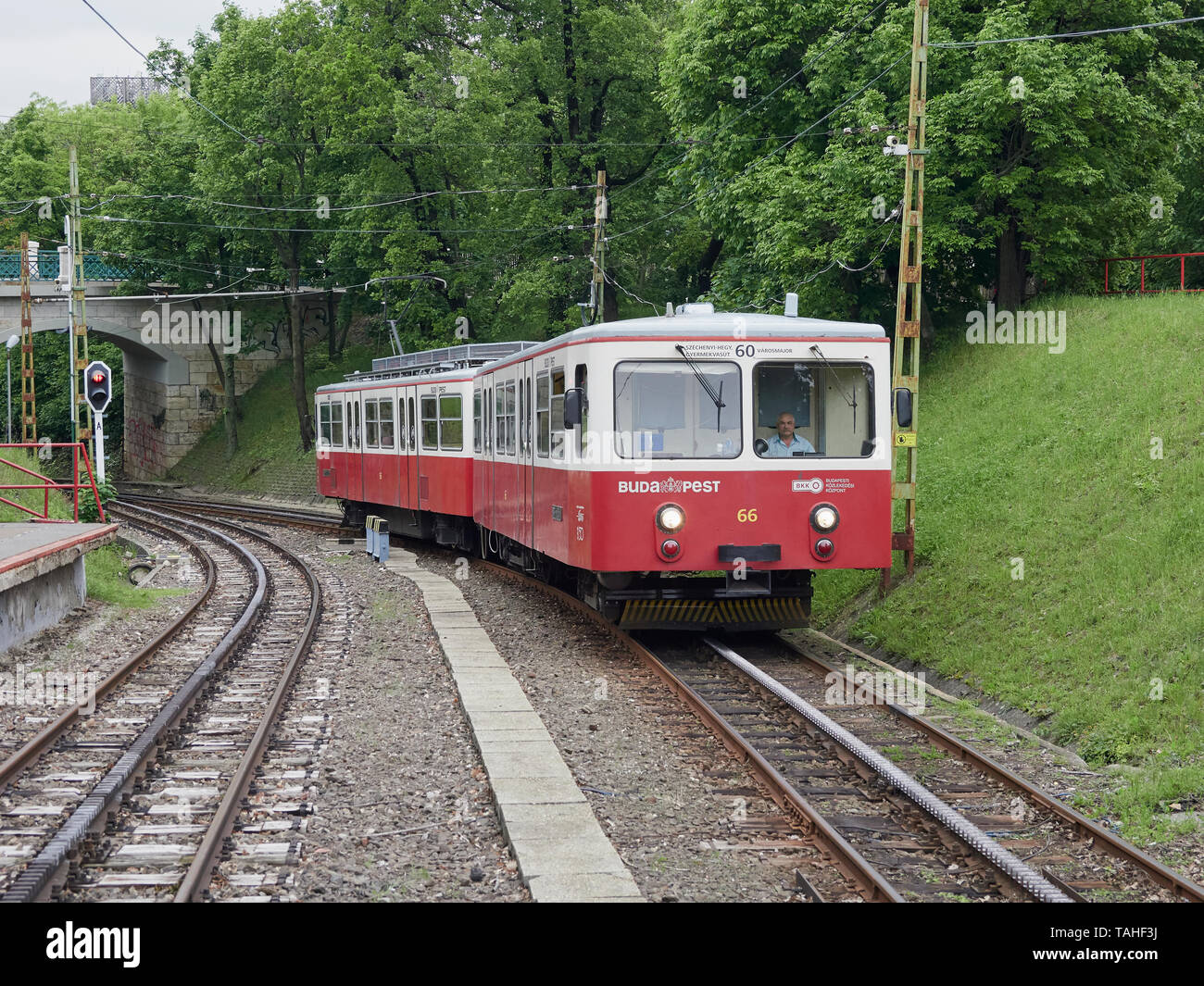 Budapest ferrovia dentata gestito da BKV da Városmajor Al Childrens stazione ferroviaria a Széchenyi-hegy Budapest Ungheria Foto Stock
