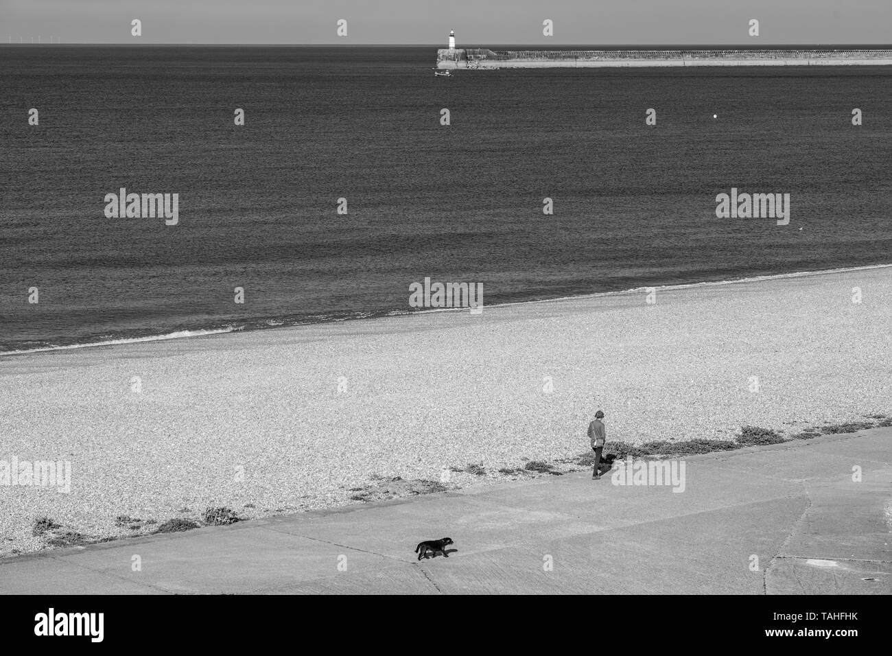 A piedi un cane sul lungomare Foto Stock