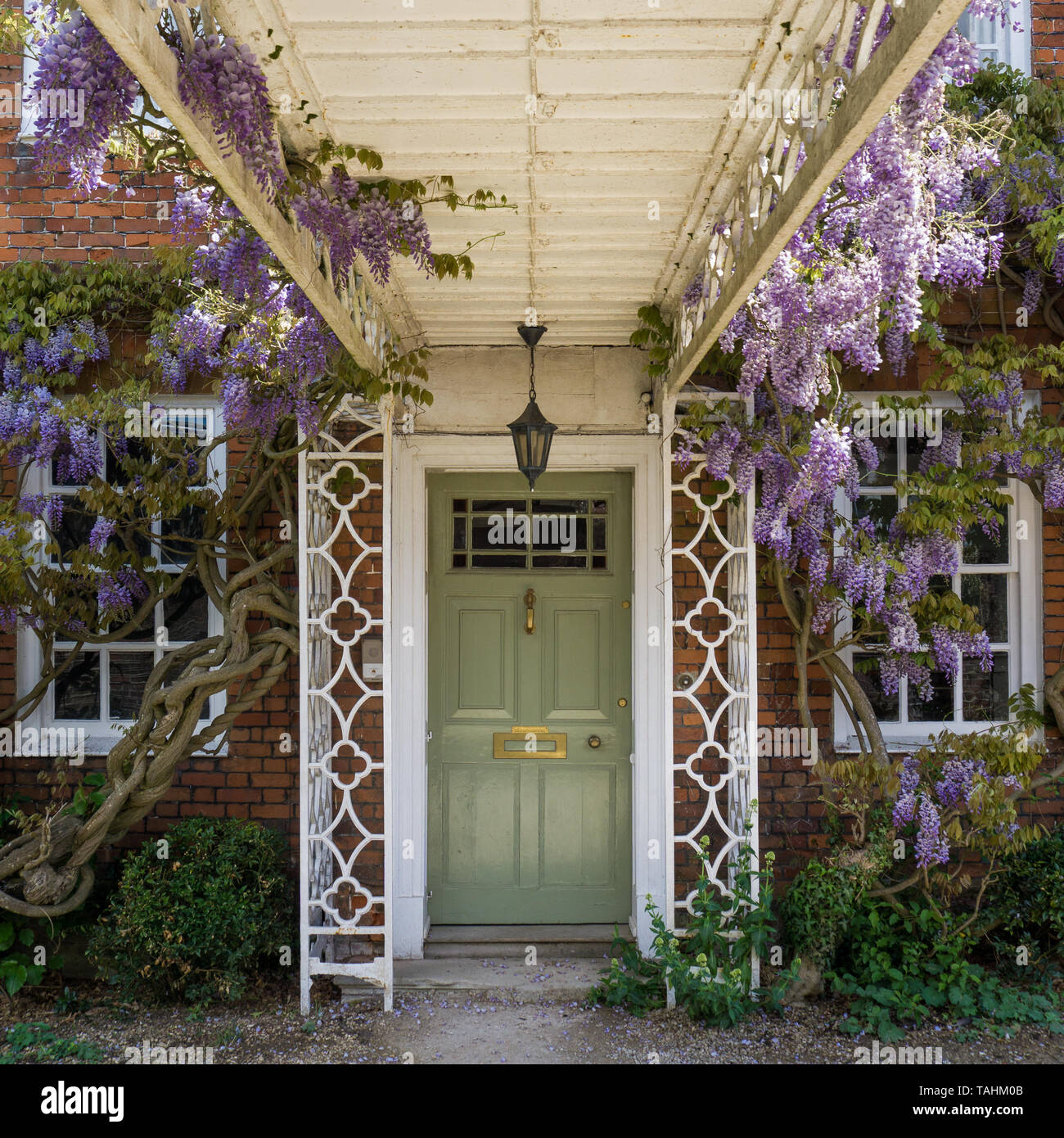 Porta incantevole circondato da piante e bellissimi fiori viola Foto Stock