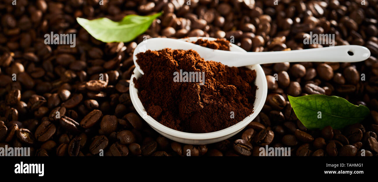 Panorama scuro banner di caffè macinato in un piccolo vaso in ceramica con cucchiaino e fagioli arrosto decorato con foglie verdi in una vista ravvicinata Foto Stock