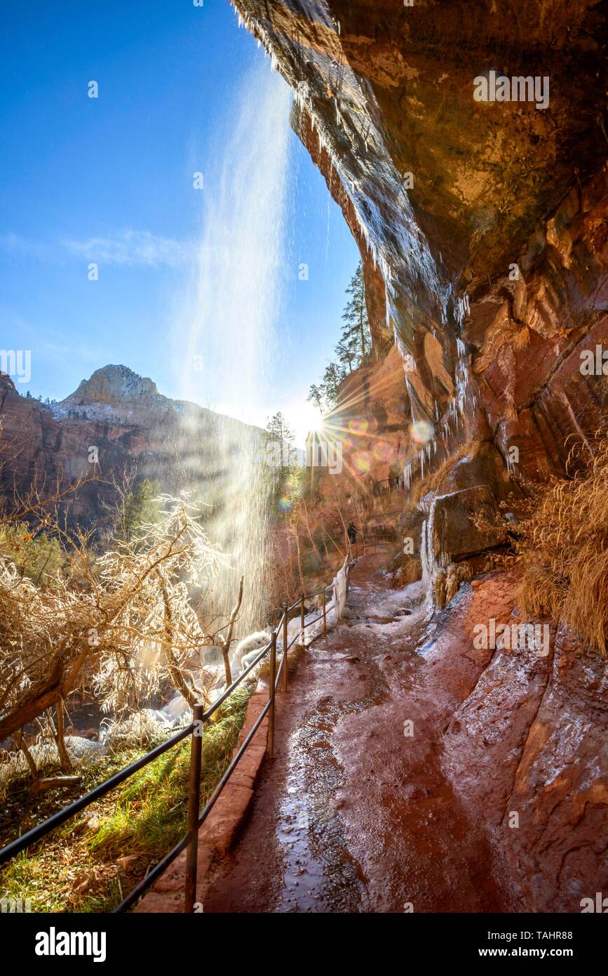 Cascata cade da roccia a strapiombo in inverno, Smeraldo Piscine Trail sentiero escursionistico lungo il fiume vergine, Parco Nazionale Zion, Utah, Stati Uniti d'America Foto Stock