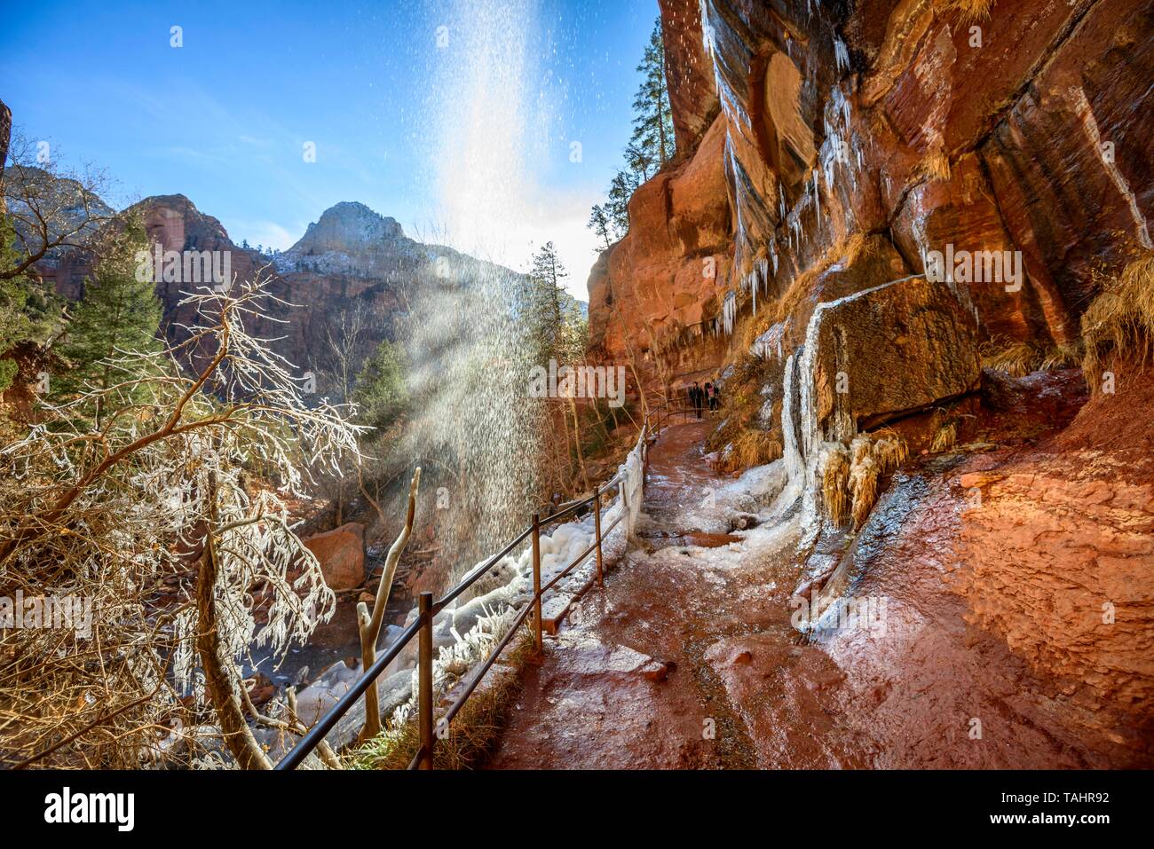 Cascata cade da roccia a strapiombo in inverno, Smeraldo Piscine Trail sentiero escursionistico lungo il fiume vergine, Parco Nazionale Zion, Utah, Stati Uniti d'America Foto Stock