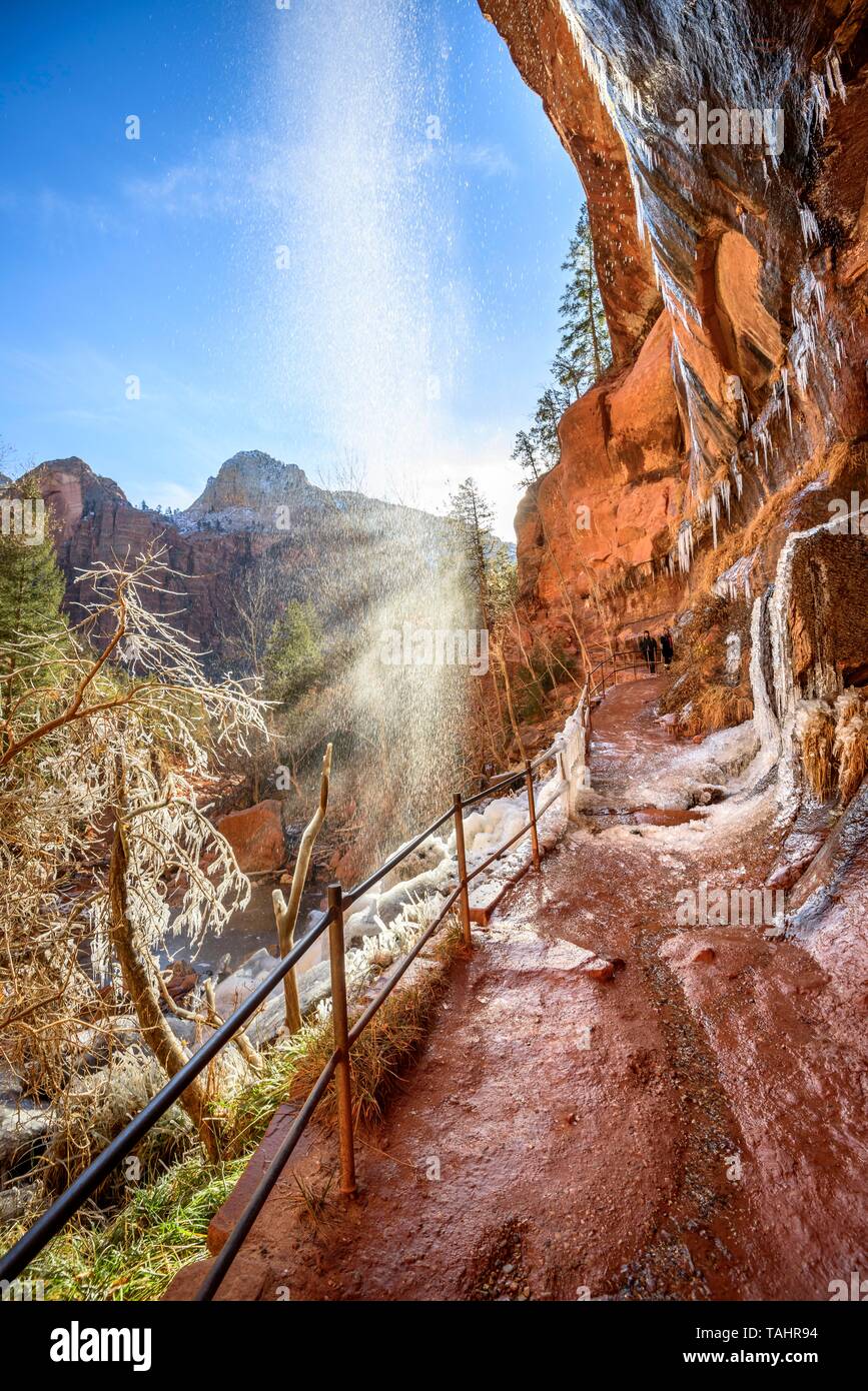 Cascata cade da roccia a strapiombo in inverno, Smeraldo Piscine Trail sentiero escursionistico lungo il fiume vergine, Parco Nazionale Zion, Utah, Stati Uniti d'America Foto Stock