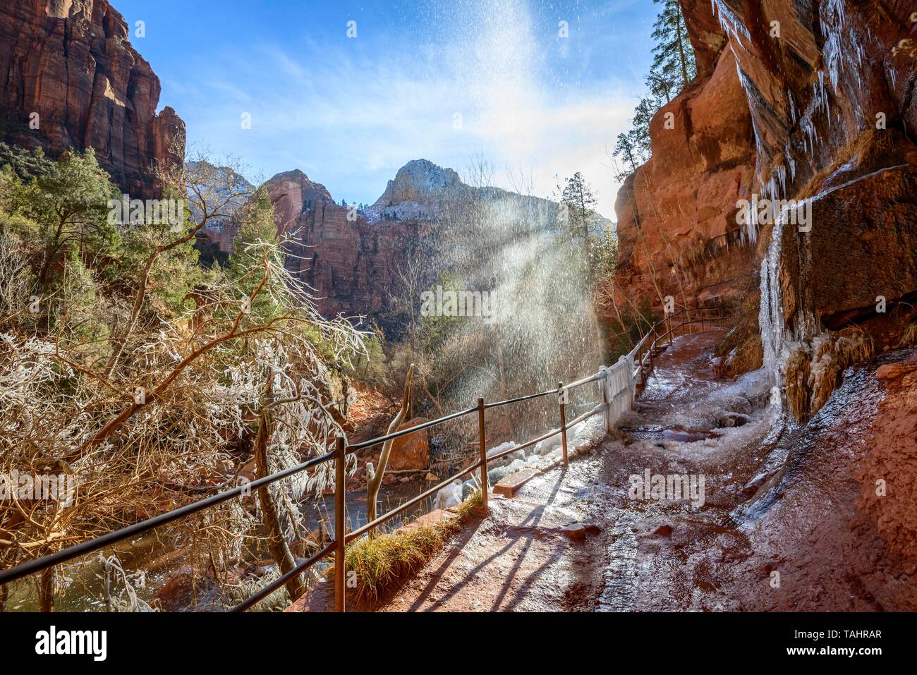 Cascata cade da roccia a strapiombo, ghiacciate escursioni sentiero smeraldo sentiero piscine in inverno, fiume vergine, Parco Nazionale Zion, Utah, Stati Uniti d'America Foto Stock