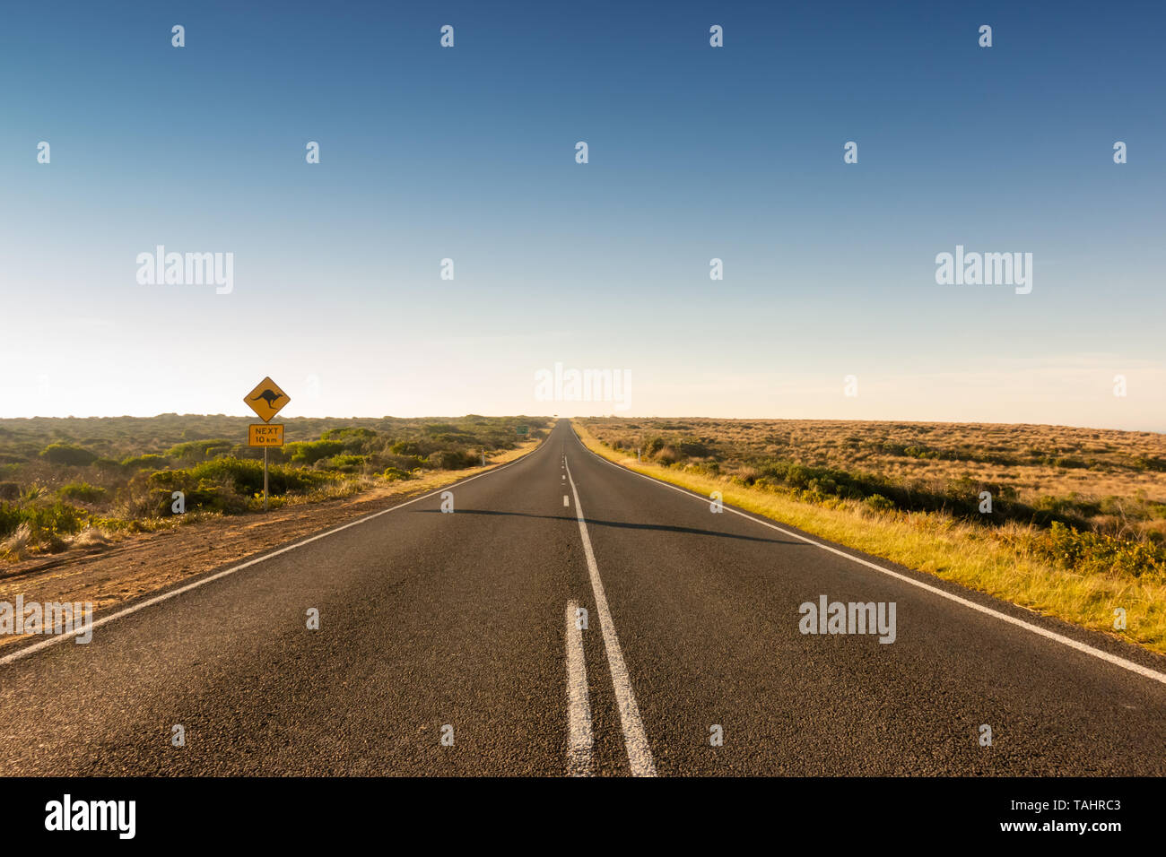 Kangaroo crossing road sign driver di avvertimento in Australia Foto Stock